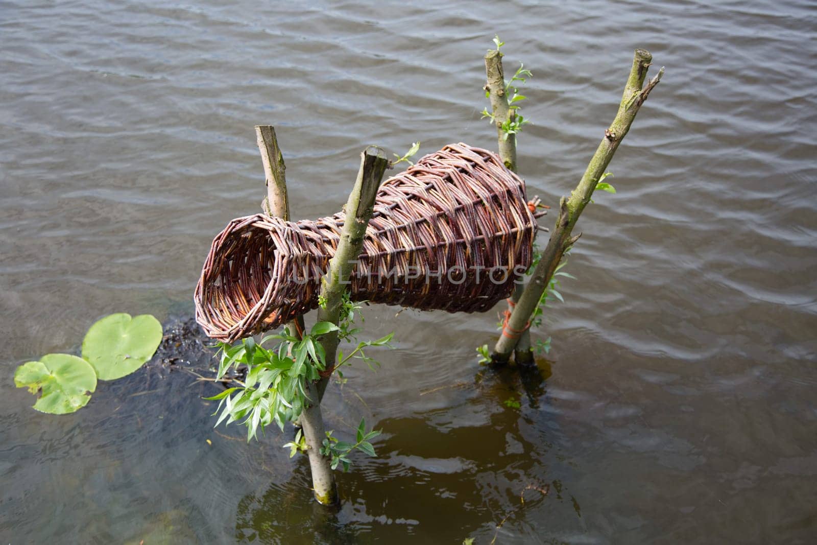 Duck nesting basket above the water surface in Kinderdijk, the Netherlands.