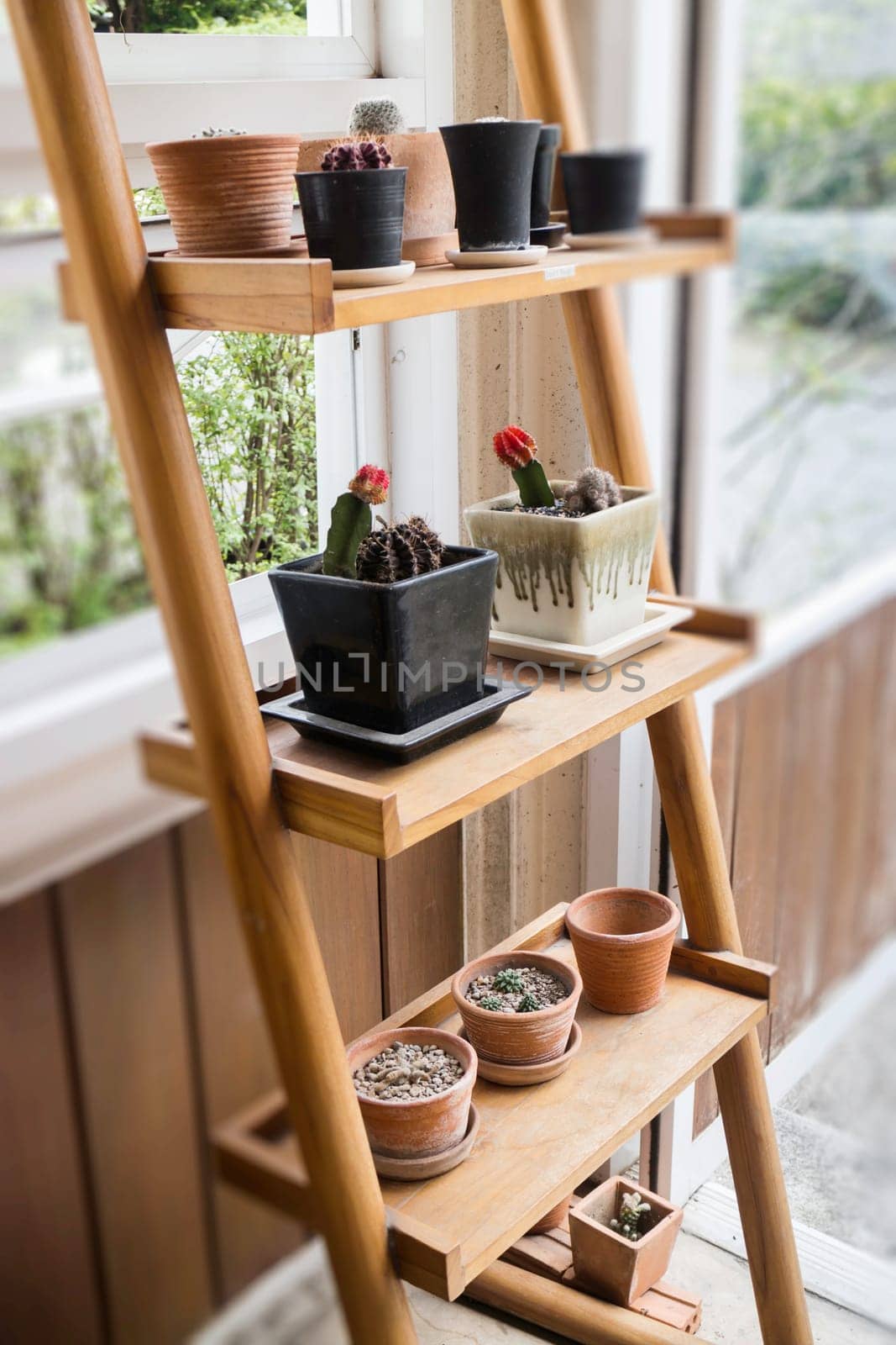 Green plant pot on the shelf, stock photo