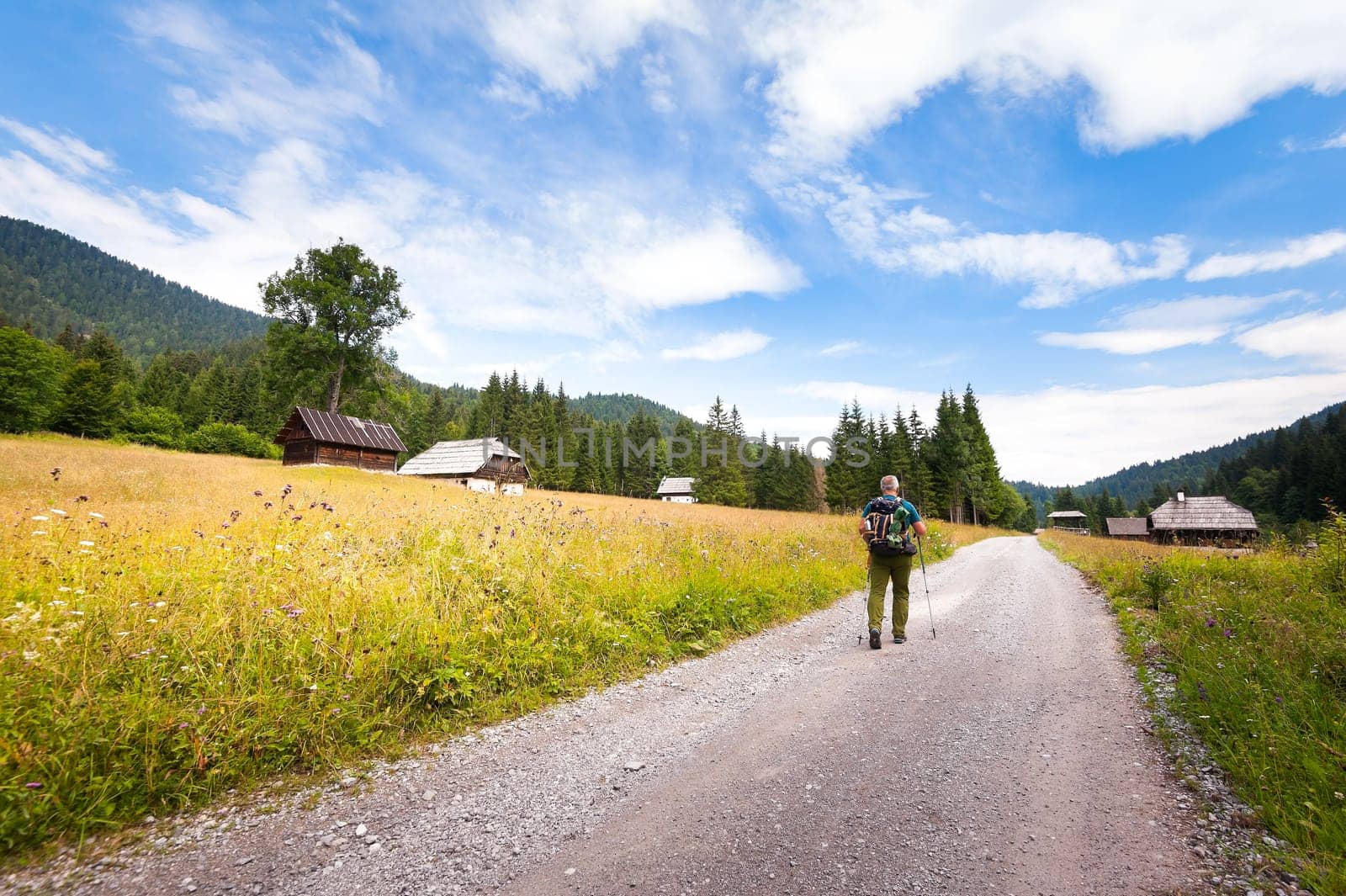 Hiker with backpack walking along road to a forest in mountain.