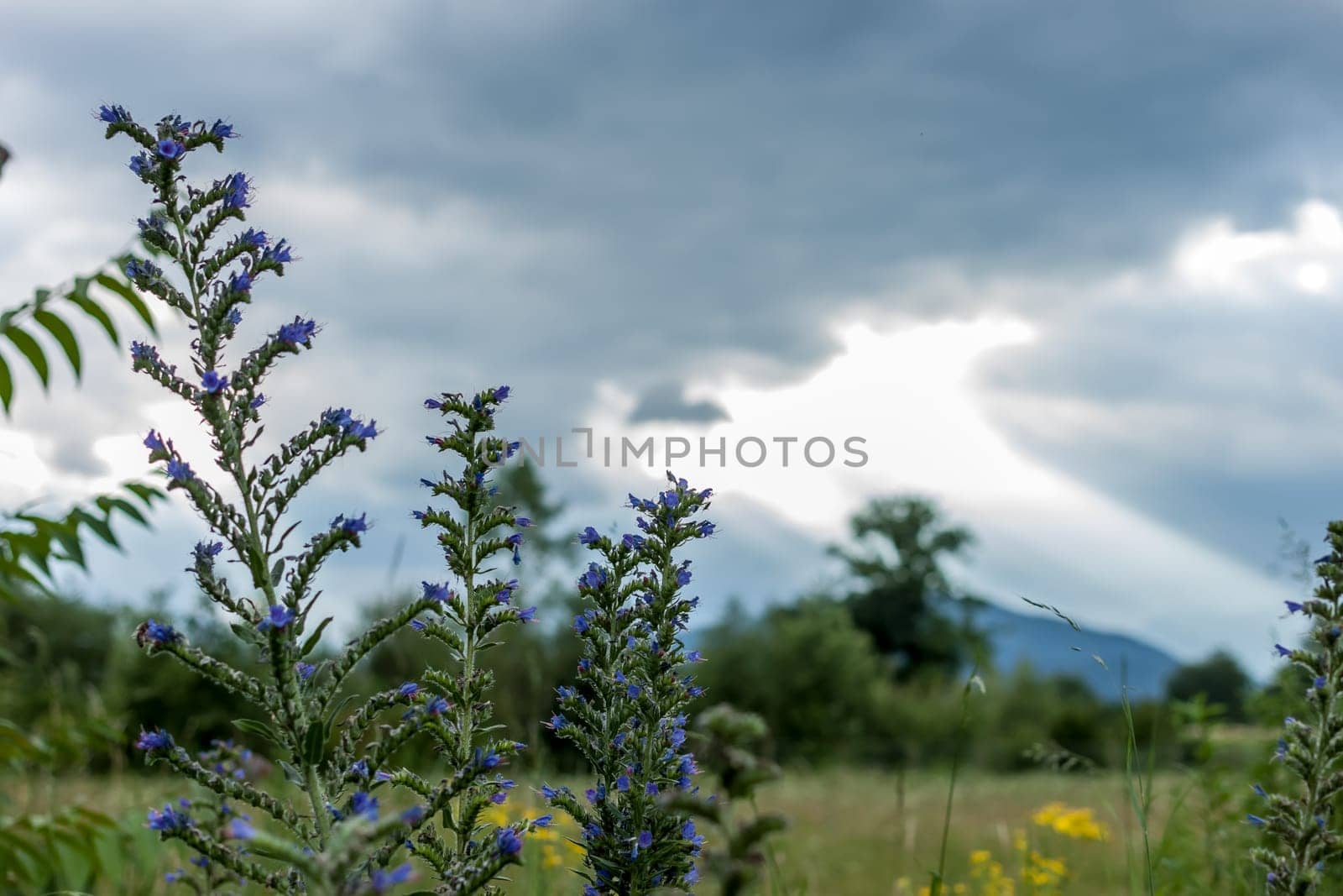 dramatic dark clouds and sun beams landscape