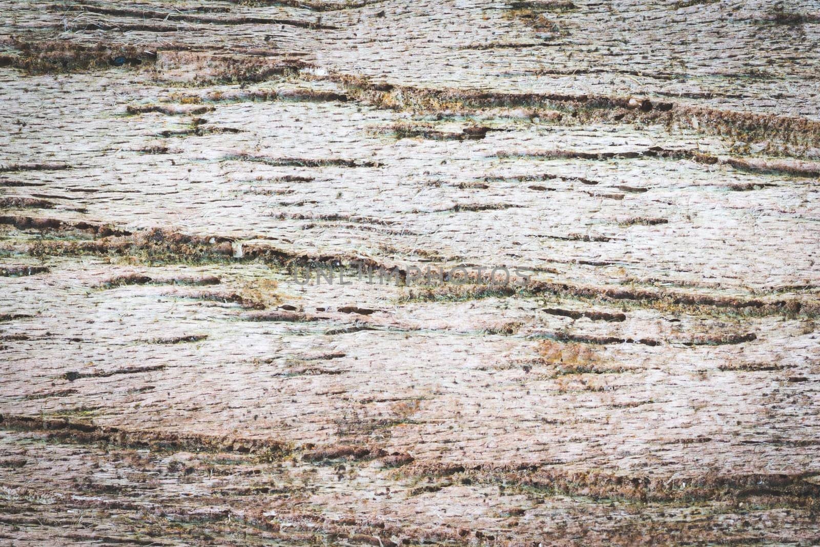 Old Wood Texture Background for Design. Wood Texture or wood background and sand dust and gravel