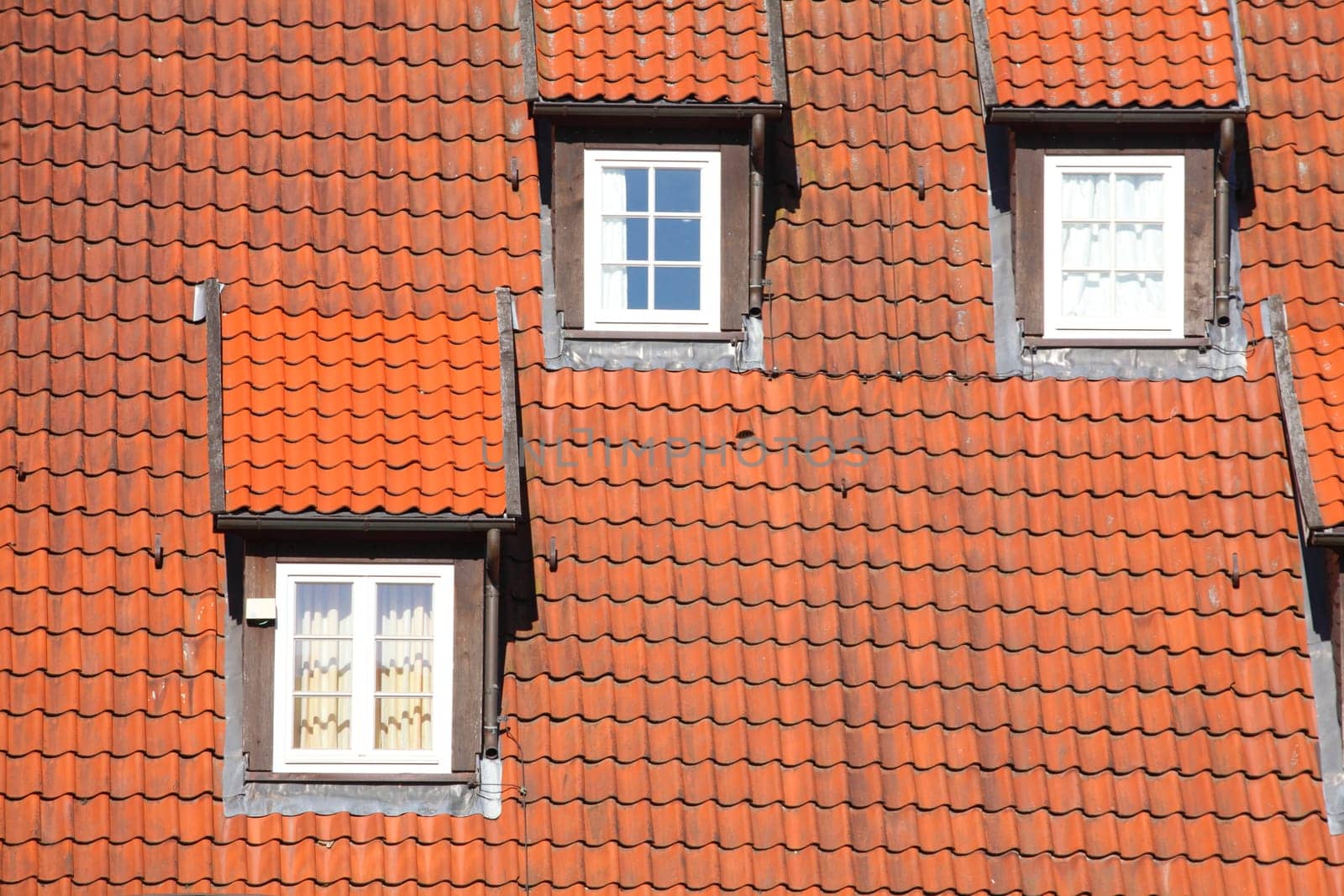 roof, roof windows