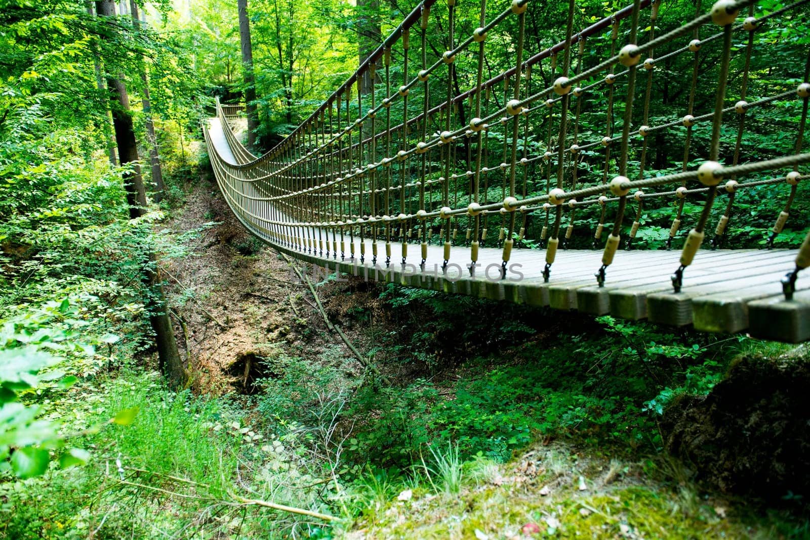 little suspension bridge in green forest