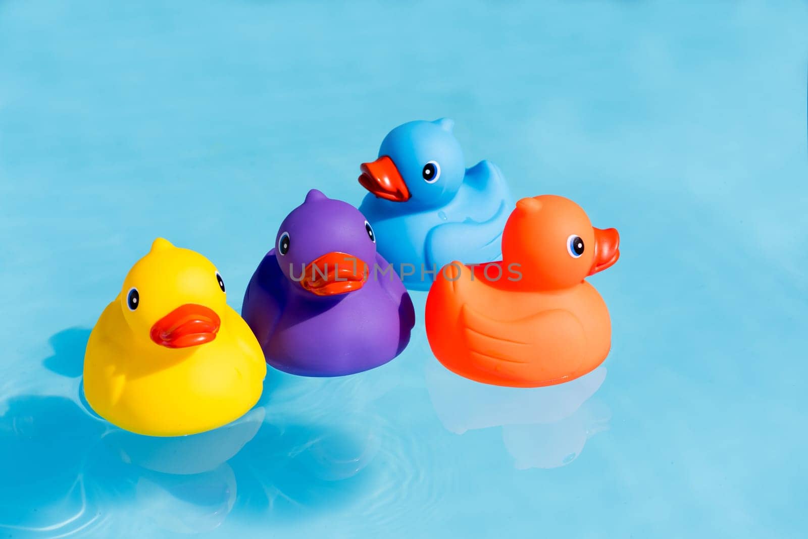 Four colourful rubber ducks, a family of ducks, yellow, blue, purple and orange, swimming in the water in a paddling pool