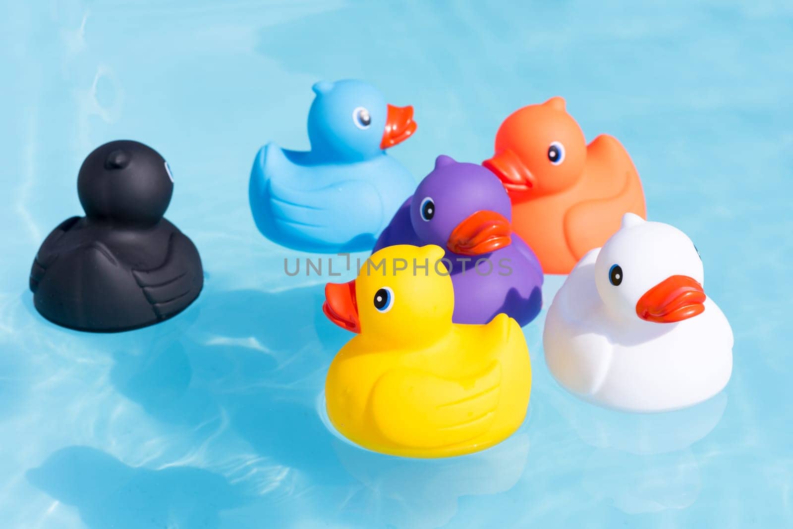Six colourful rubber ducks, a family of ducks, yellow, blue, purple, black, white and orange, swimming in the water in a paddling pool