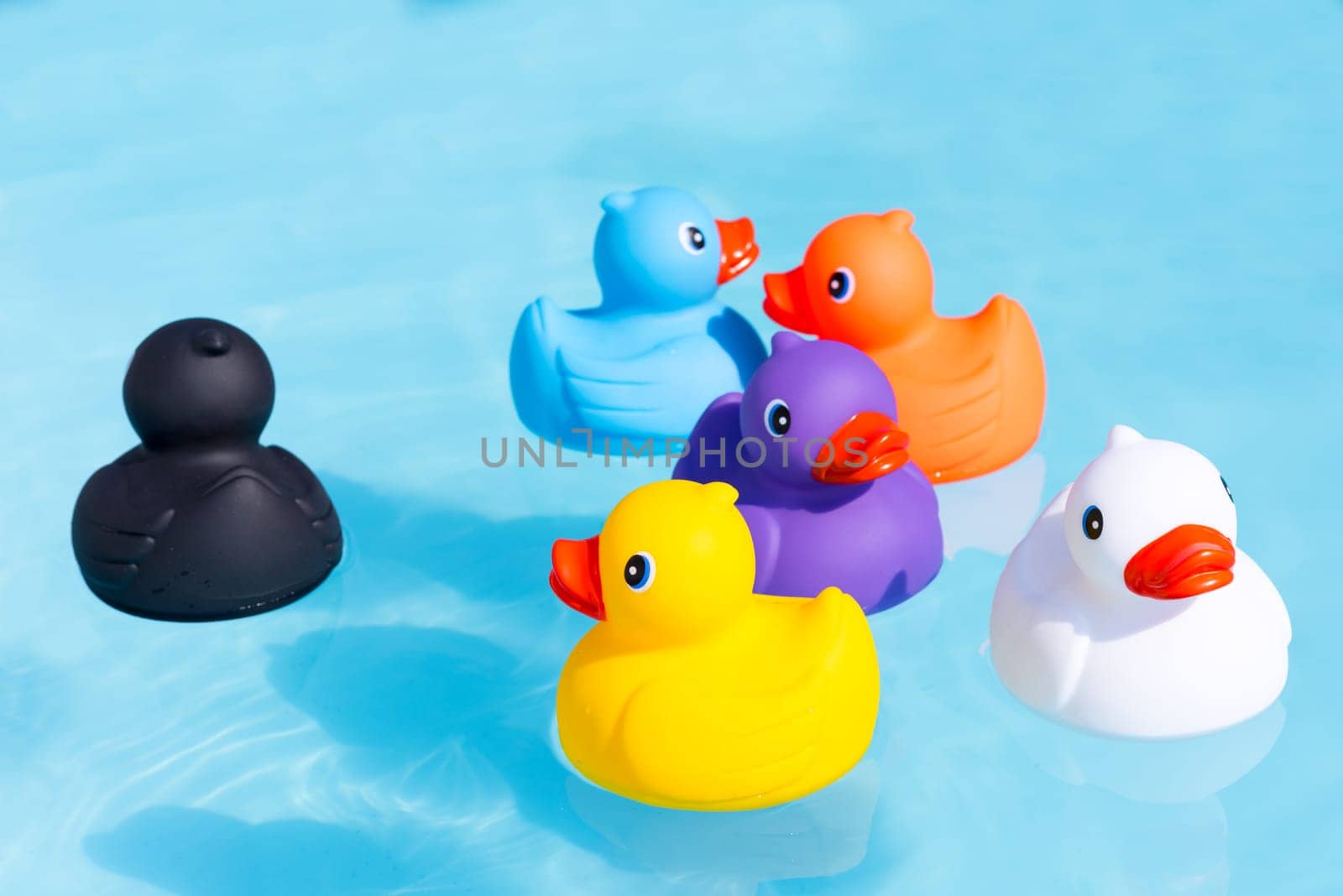 Six colourful rubber ducks, a family of ducks, yellow, blue, purple, black, white and orange, swimming in the water in a paddling pool