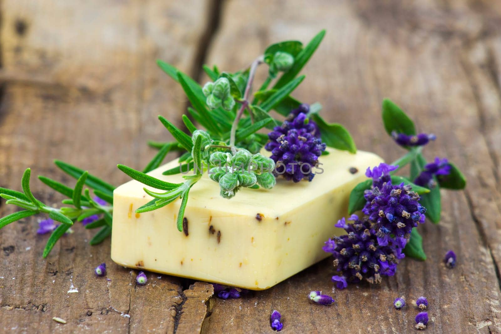 bar of natural soap and lavender flowers