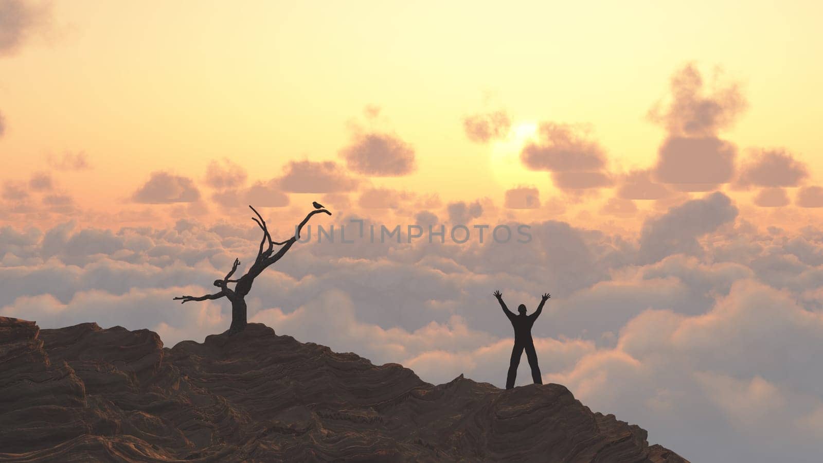 Man meets sunrise. Bird on a dry branch.