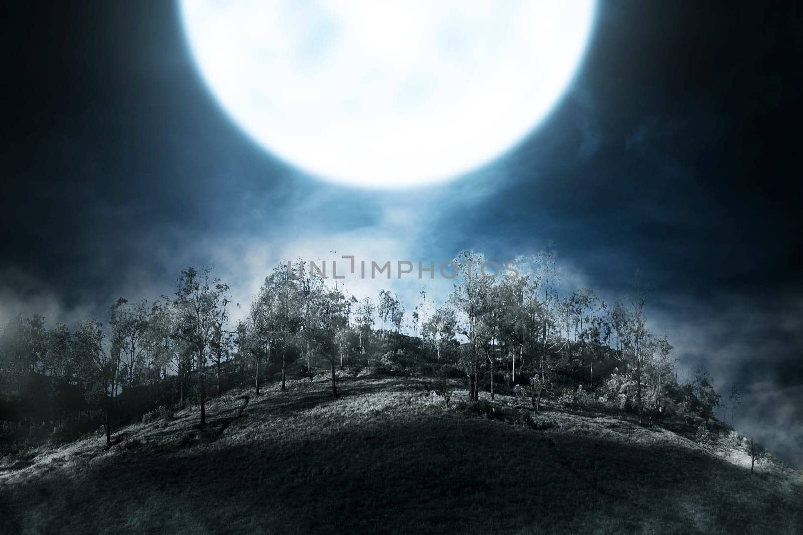 Foggy mountain with green forest at night
