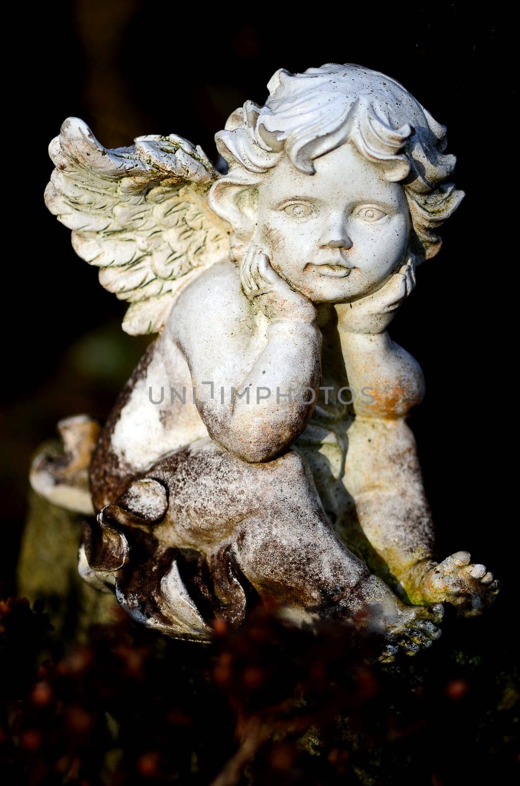 Angel