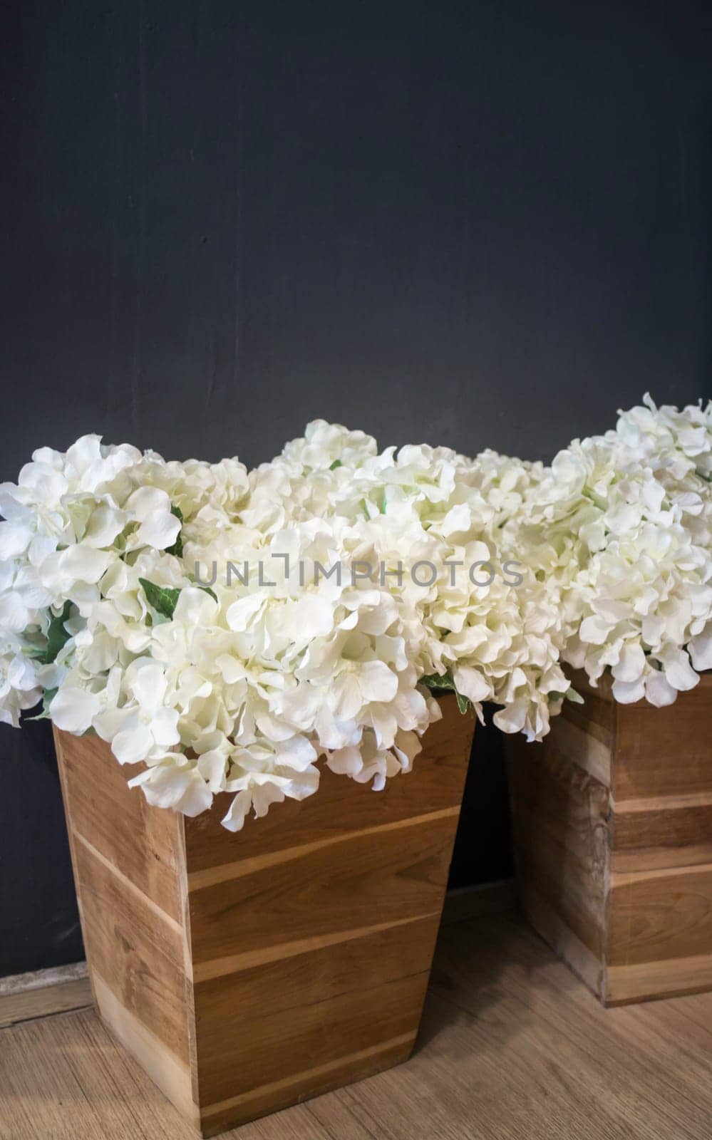 Decorative flower in wooden bucket, stock photo