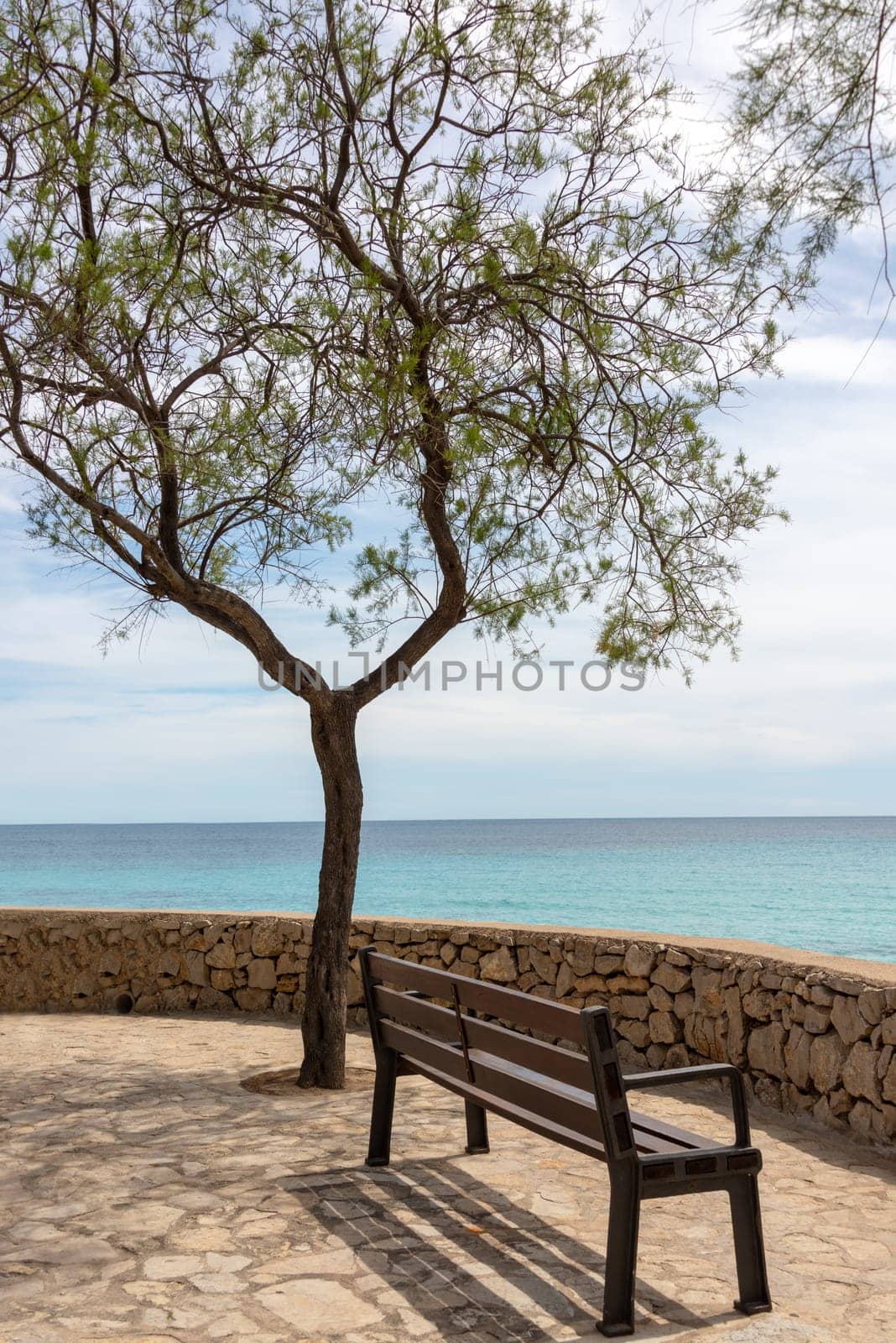 A bench and a single tree on the promenade in the holiday resort Cala Millor with a beautiful view of Mittelmerr on the Spanish Balearic island Mallorca in front of a radiant blue sky
