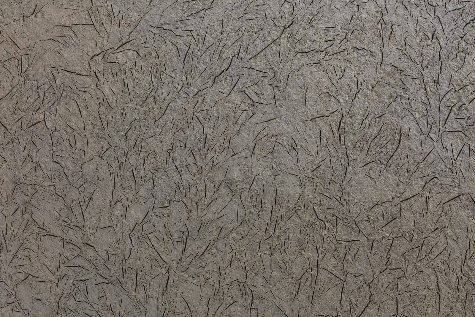 a nice texture from Mud Volcanoes, Romania