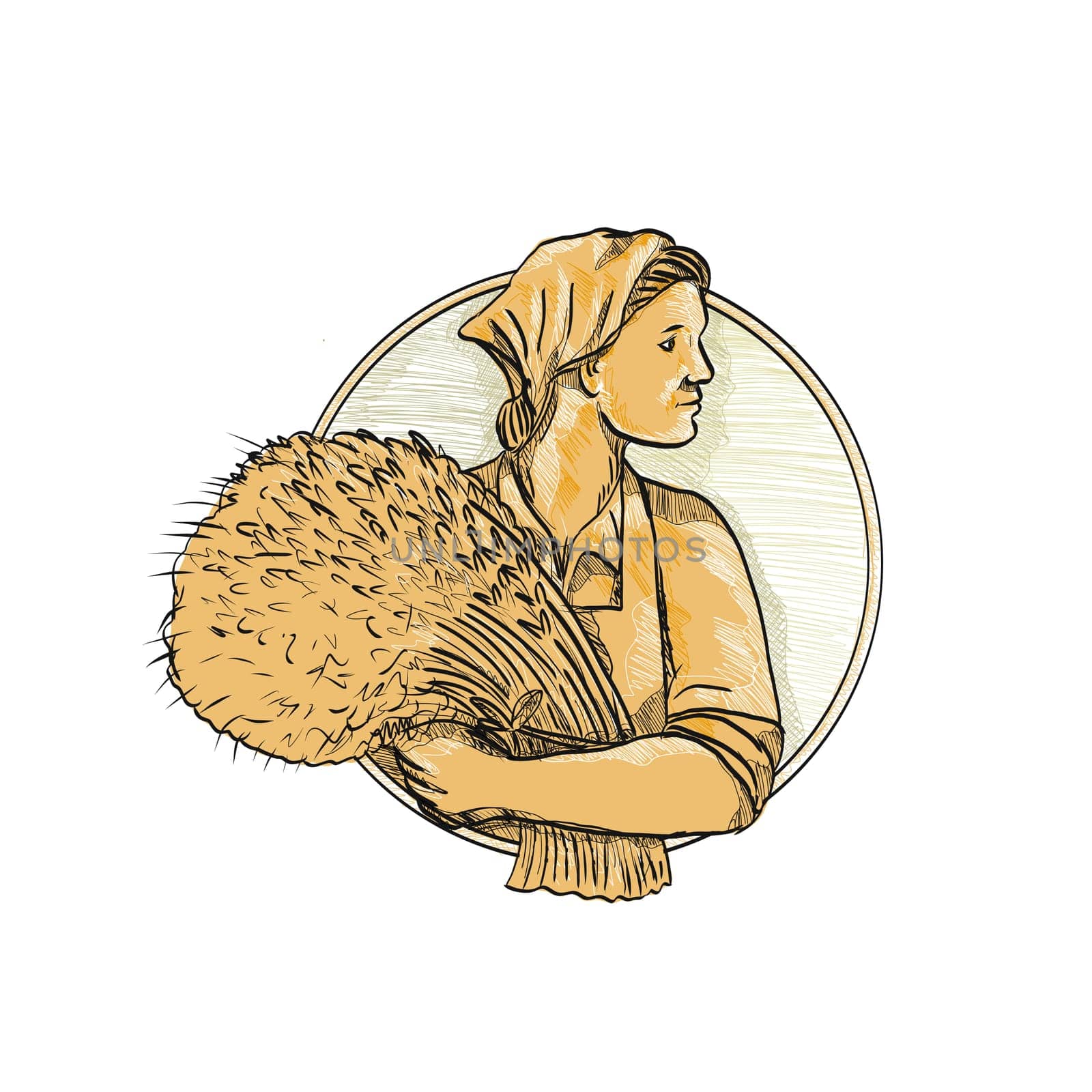 Drawing sketch style illustration of female Russian or Eastern European wheat farmer or organic farmer holding a bunch of wheat stalk looking forward set inside circle on isolated background.