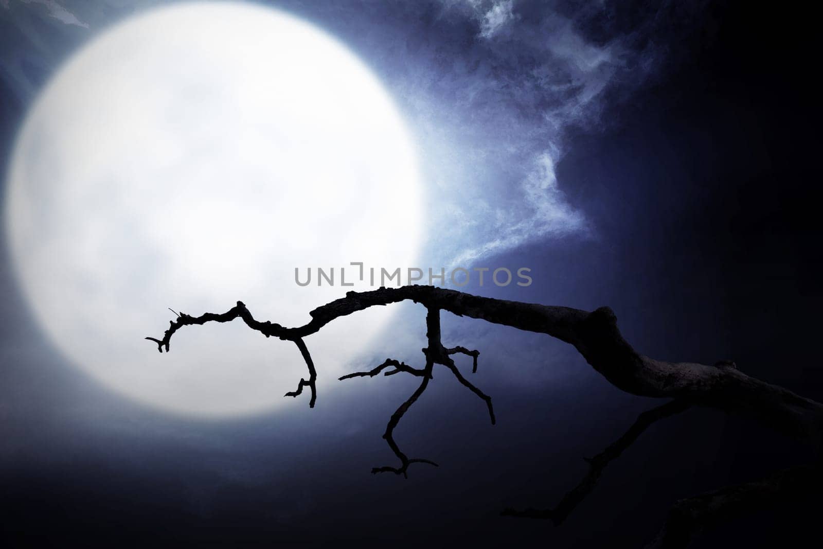 Scary night scene with branch, full moon and dark clouds for halloween background