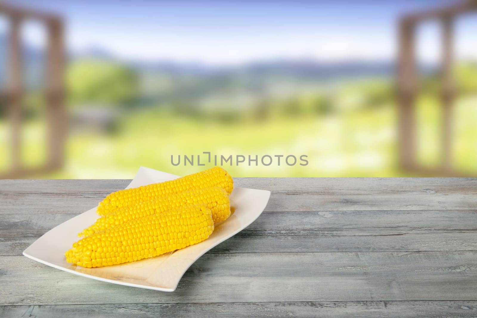 Ripe fresh corn fruits on rustic wooden table in front of natural blurred background. For your food and product display montage. Concept food.