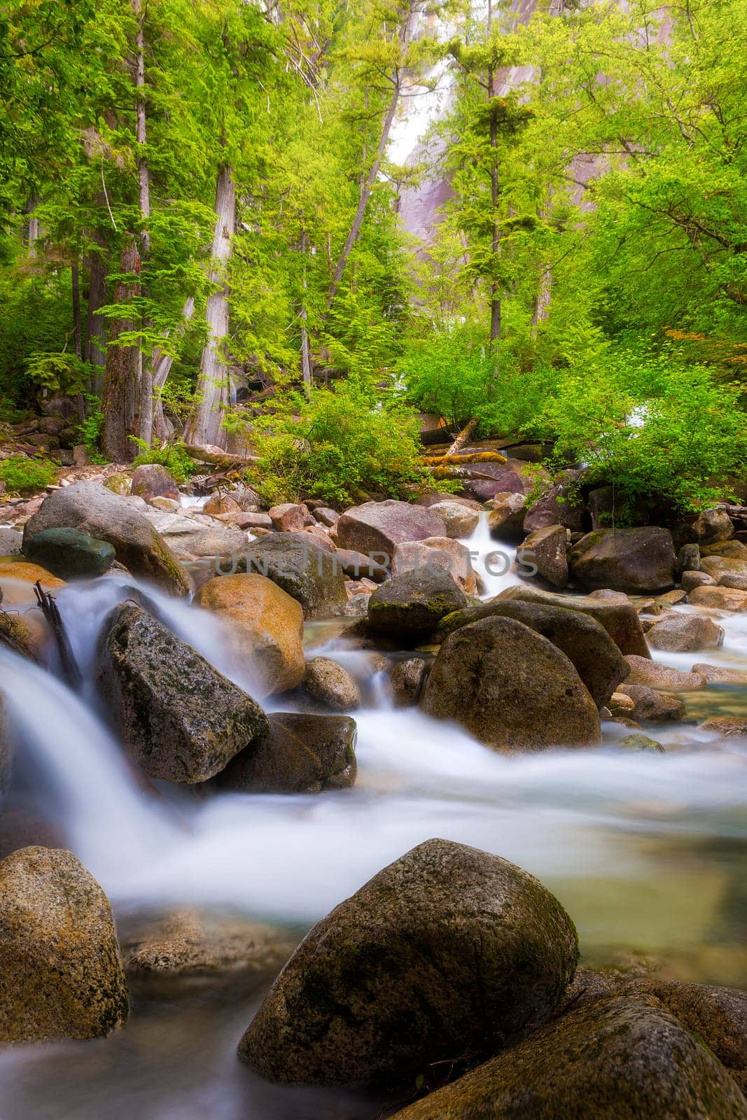 The creek below Shannon Falls in Provincial Park in Squamish Canada