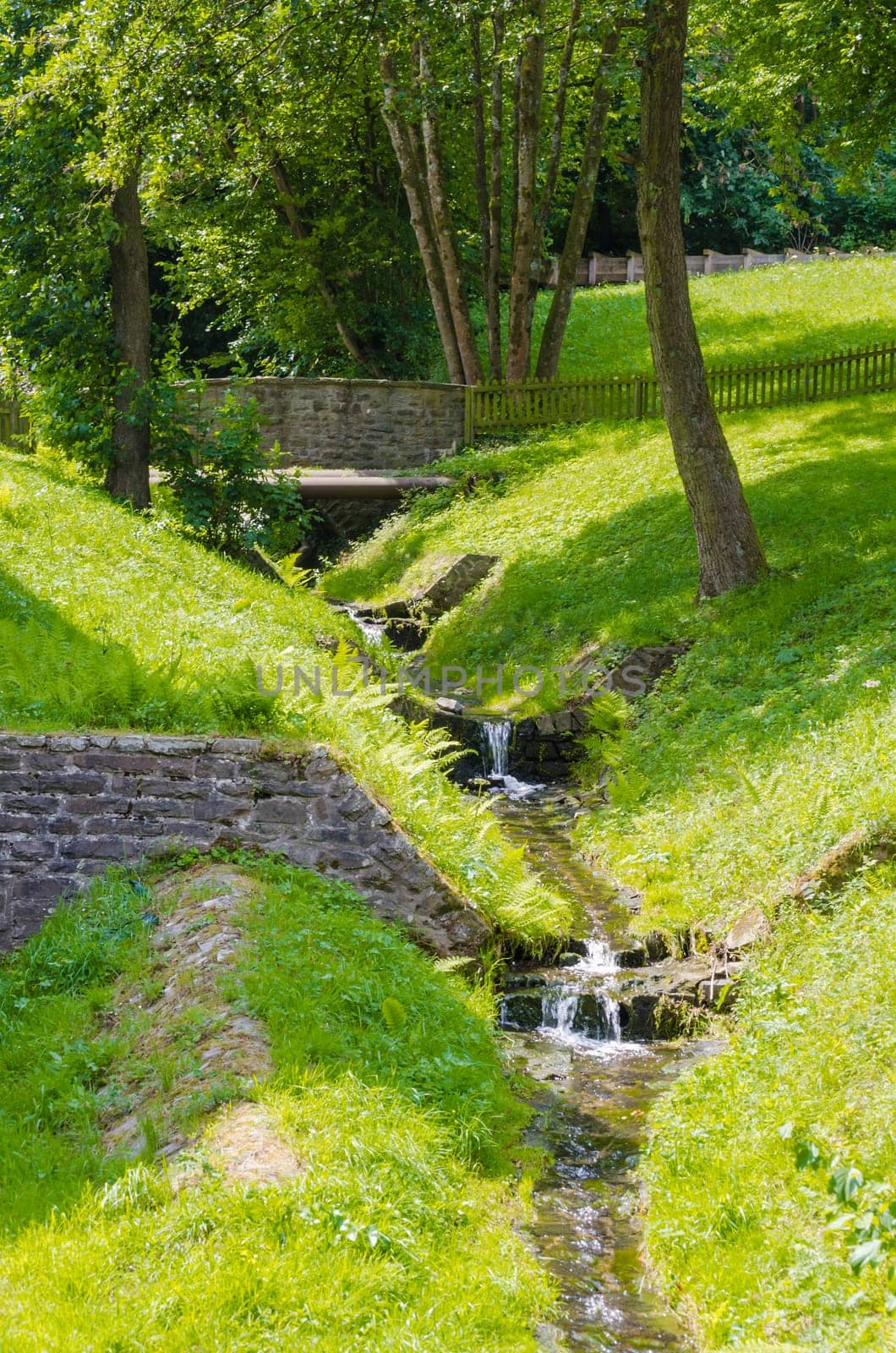 Fast flowing river in a forest