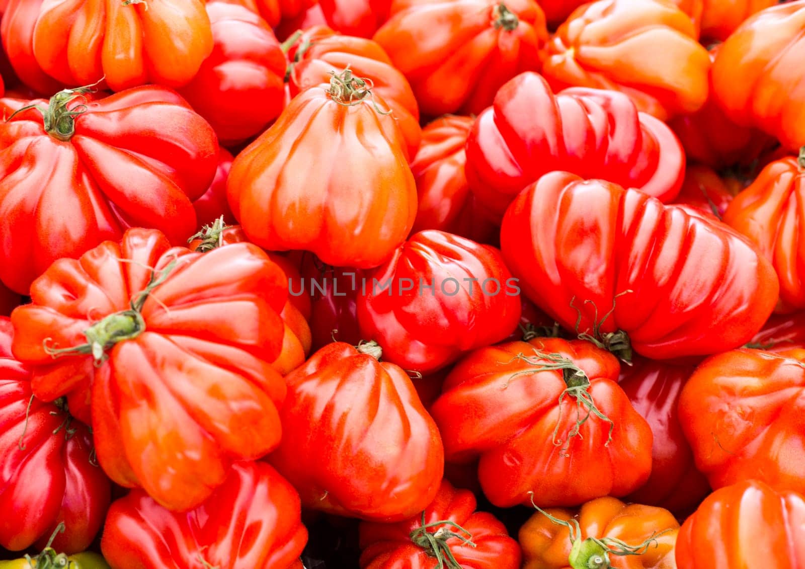 Oxheart tomato is a large beefsteak type tomato, resembling an ox heart, which is a sweet pink red fruit low in seeds