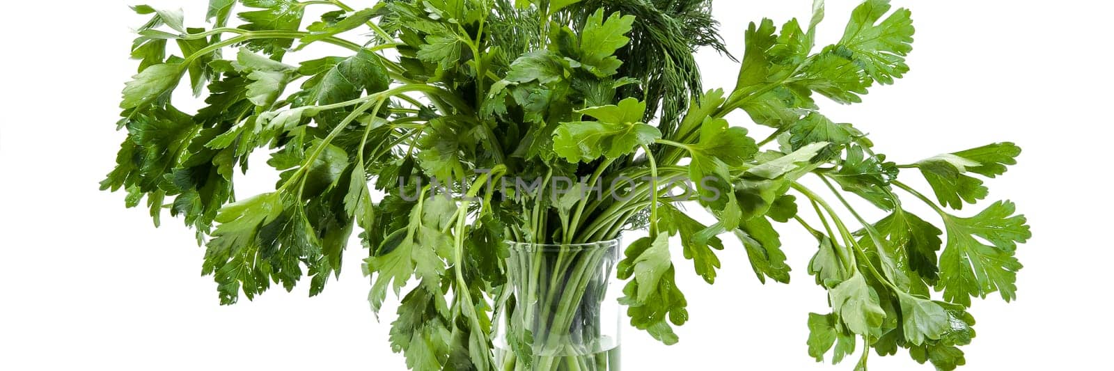 A bunch of parsley and dill in a transparent glass on a white background is isolated.