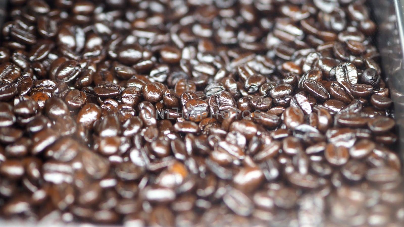 Many coffee beans from excellent source around the World in silver metal tray which special hand made roasted for barista bring a good aroma taste of freshness to their customer.
