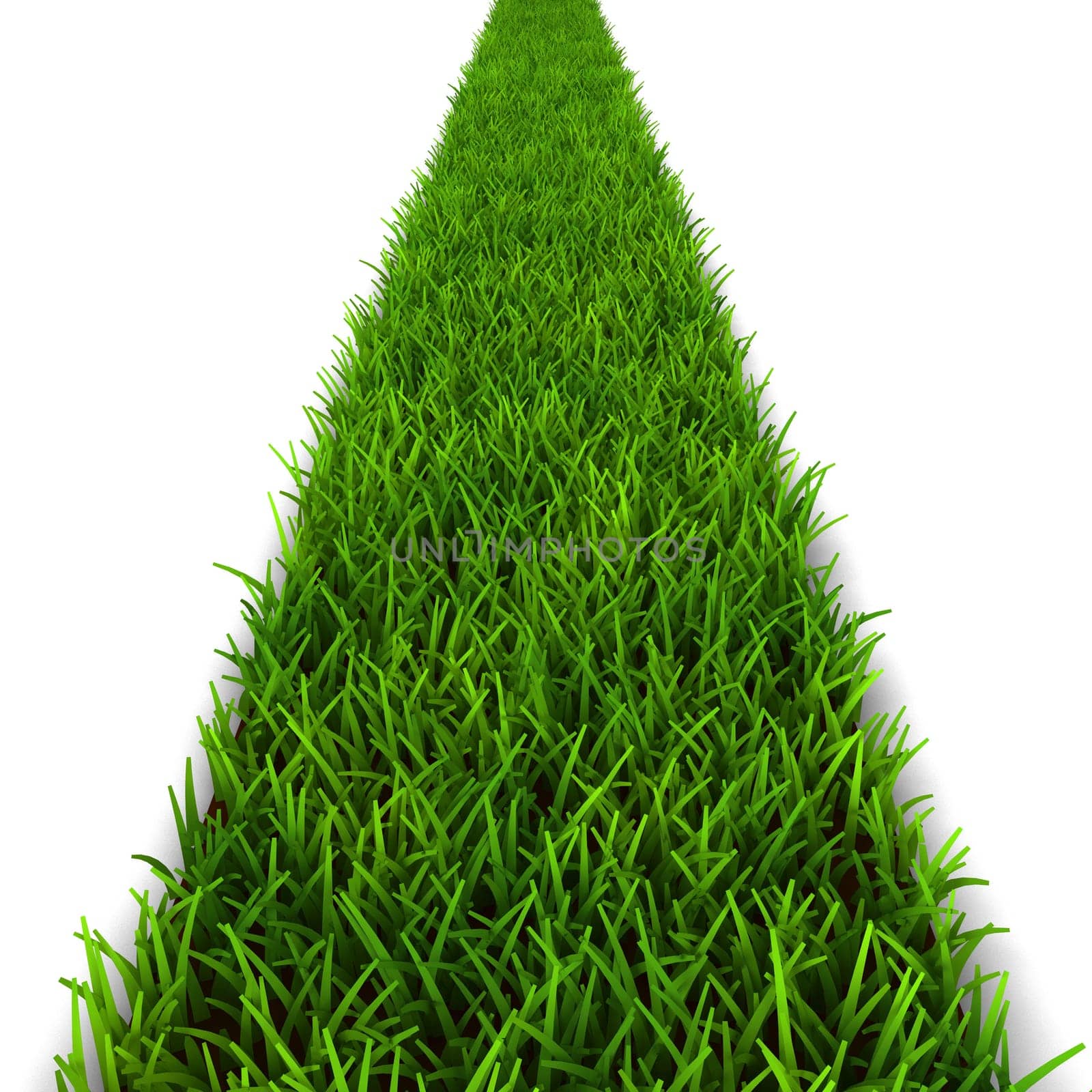 Green grass trail. 3d illustration isolated on white background