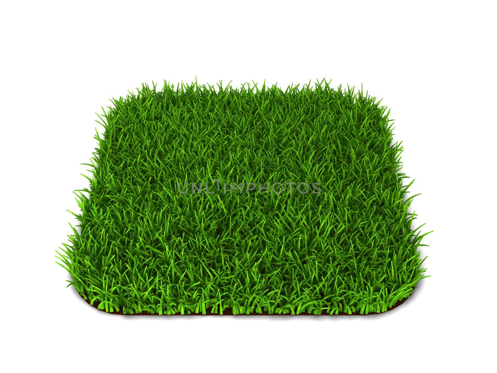 Green grass lawn. 3d illustration isolated on white background