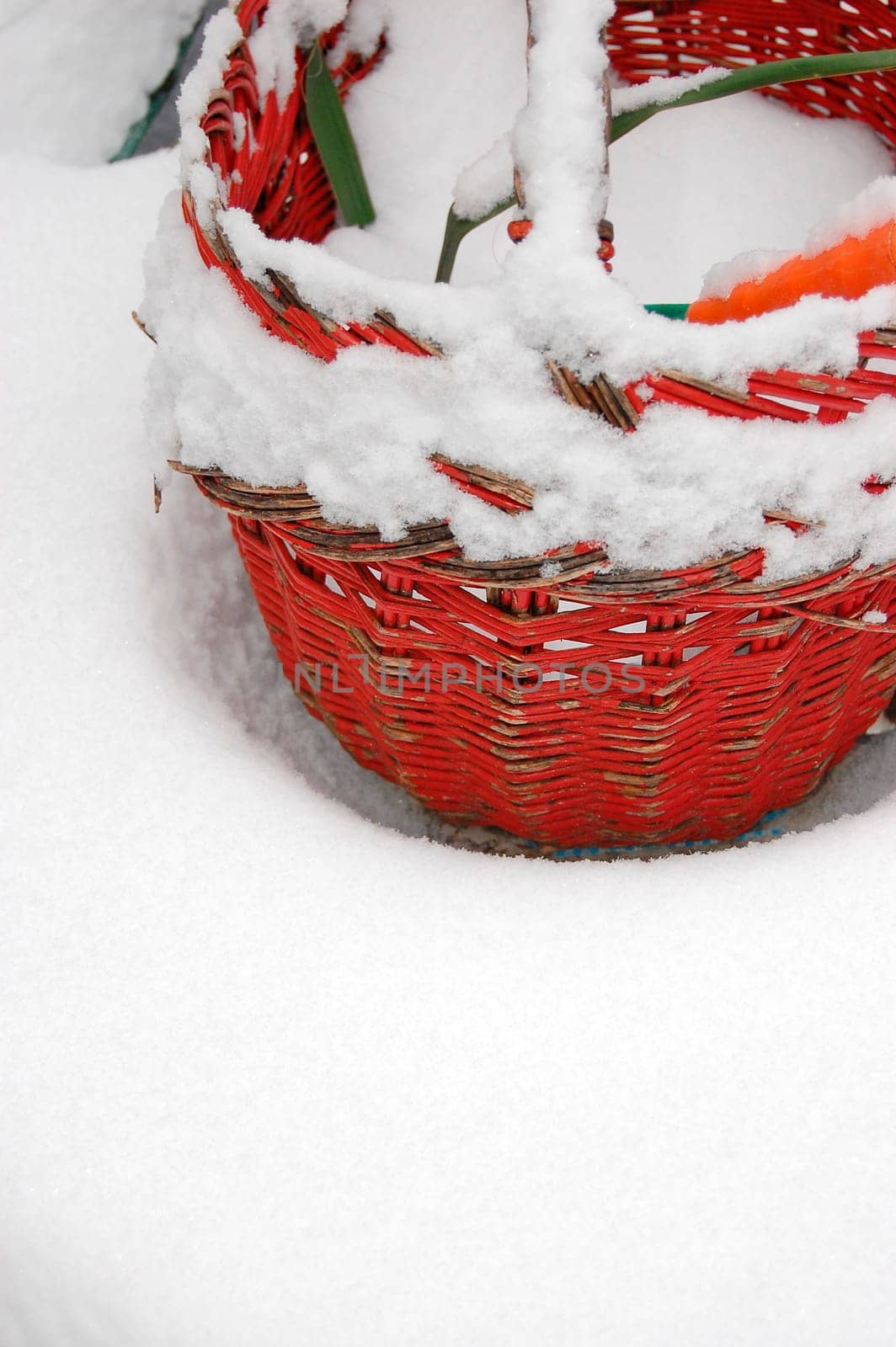 Bssket left in garden in winter
