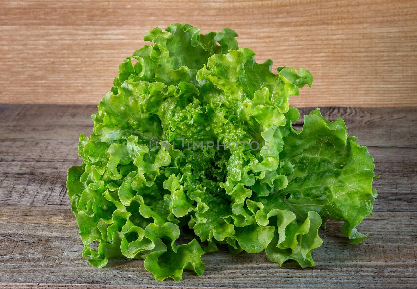 Fresh salad leaves, on a wooden background