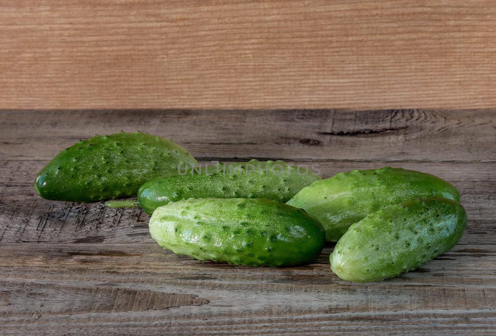 Fresh green cucumbers on a wooden background