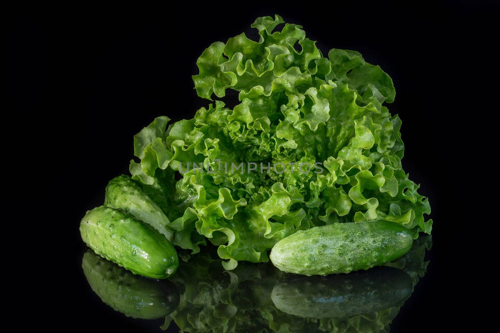 Green salad and fresh cucumbers on a dark background