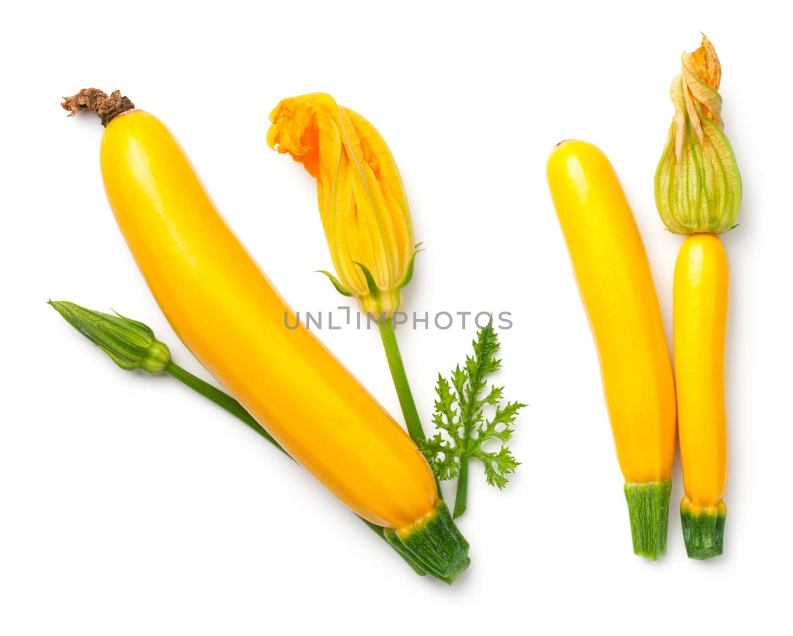 Yellow zucchini with leaf and flower isolated on white background Top view