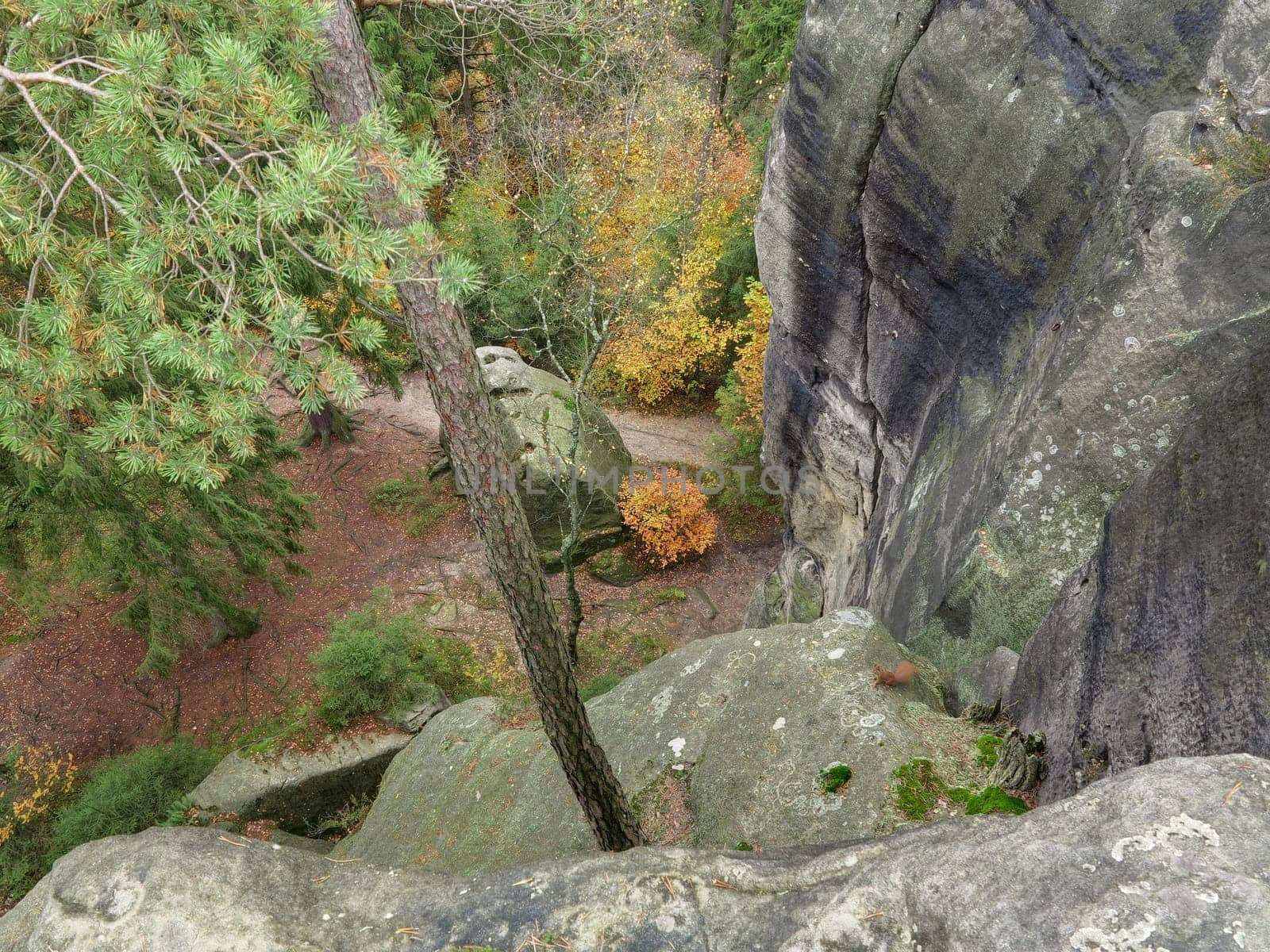 Remains of the rock castle Schauenstein from 14-th century, Bohemian Switzerland, Czech Republic