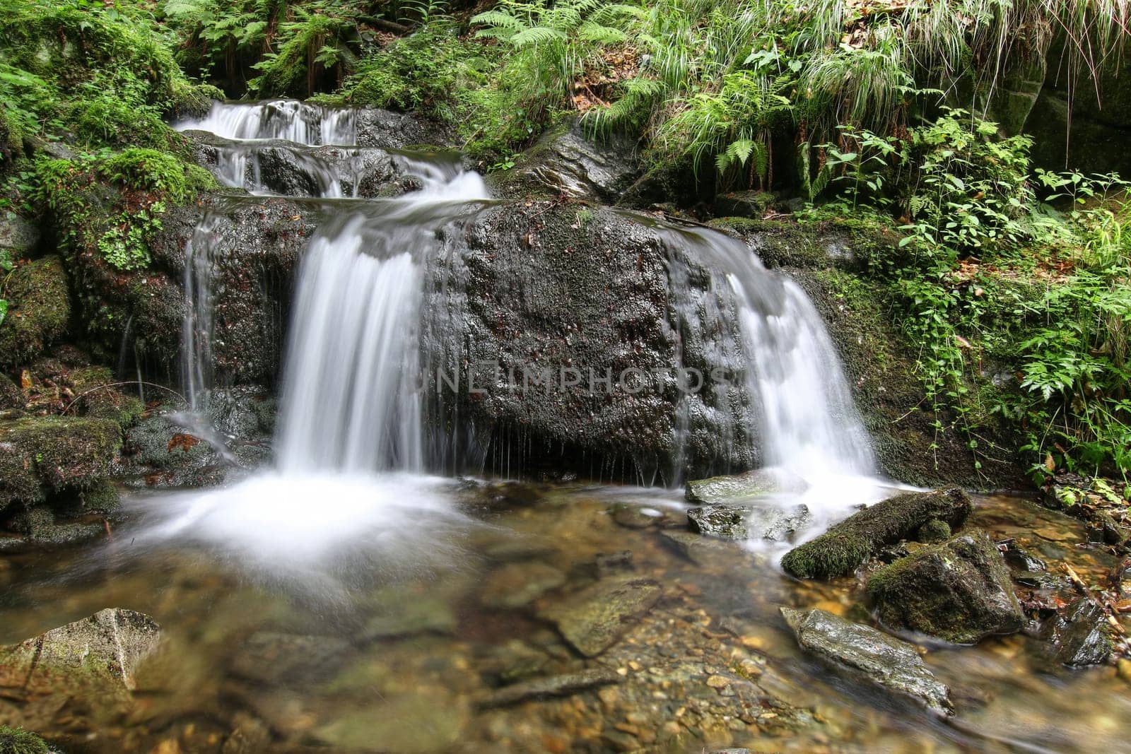 Nyznerov waterfalls on the Siver brook, Czech Republic..Silver Creek Falls, also Nyznerov waterfalls lies in the village of Upper Skorosice to 12 hectares. It is a canyon gorge with rocky thresholds can generate several waterfalls and cascades. Waterfalls are located 2 km southwest of village Nyznerov and 5 km west of Zulova city..Waterfalls are made up of cascades and rapids in the romantic gorge Bucina brook above the mouth of the creek, with a total height of 14 meters. The highest grades are 3 meters high.