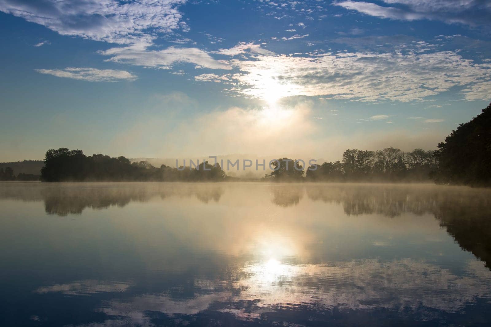 Early summer morning at the pond with a film of mist