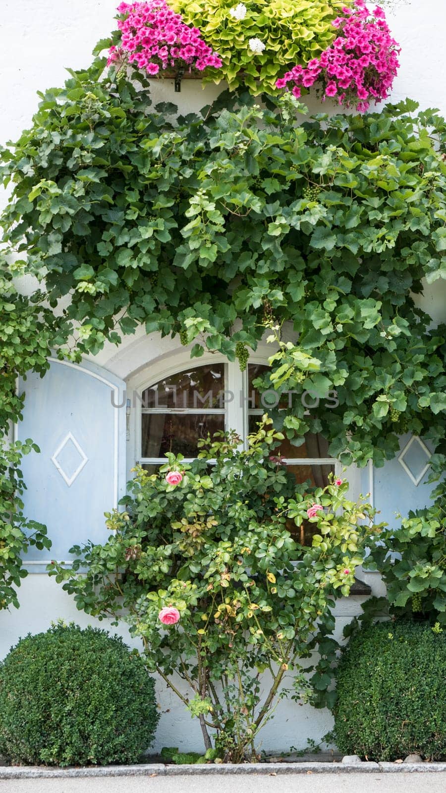 Window with traditional wooden shutters with vines and flowers