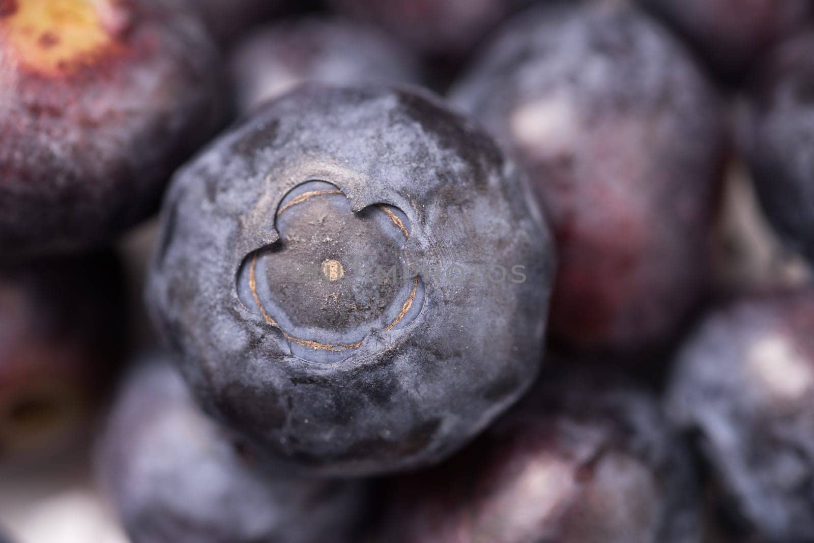 Delicious organic ripe blueberry isolated on white background