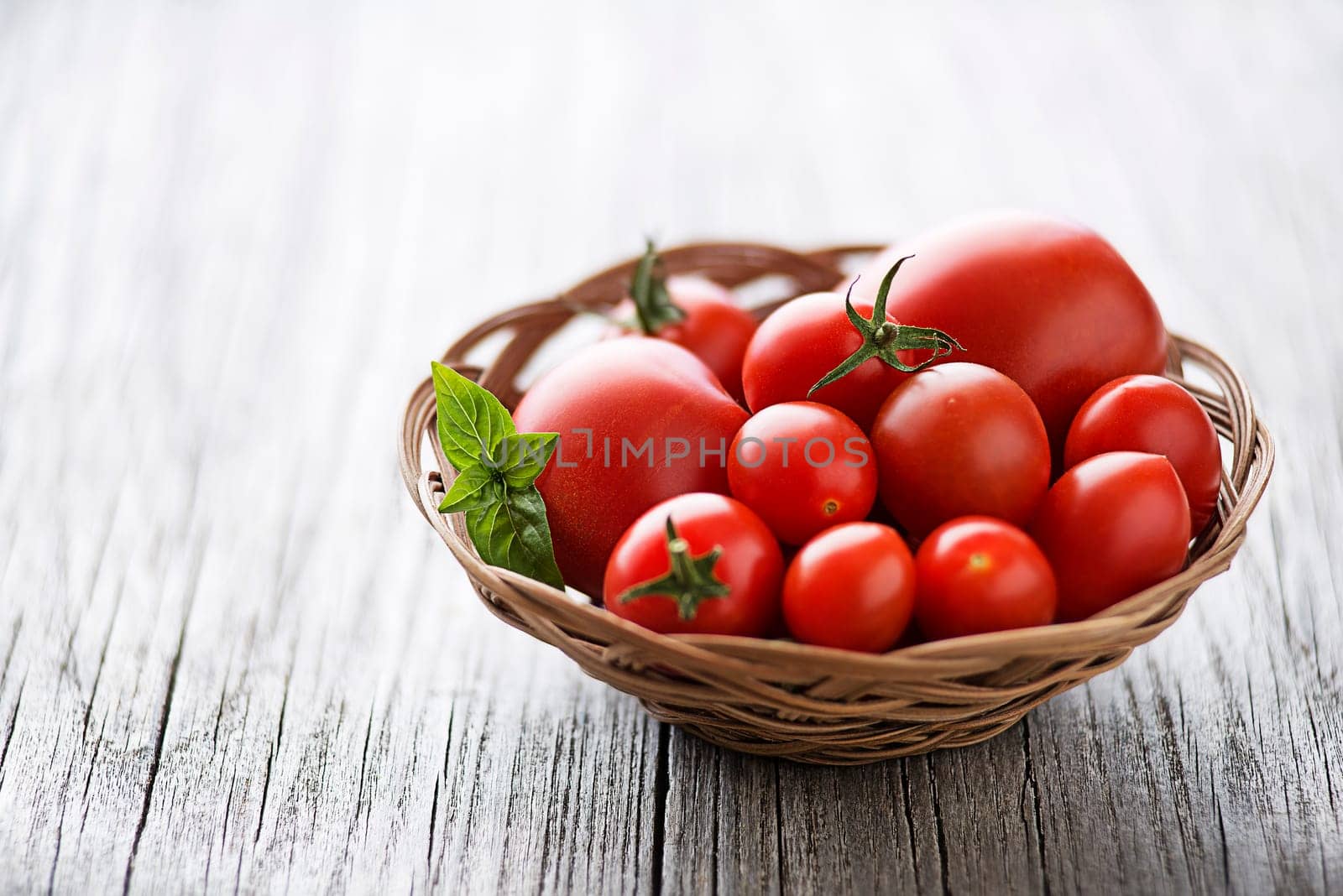Fresh tomatoes with basil leaves. Concept for a tasty and healthy meal.