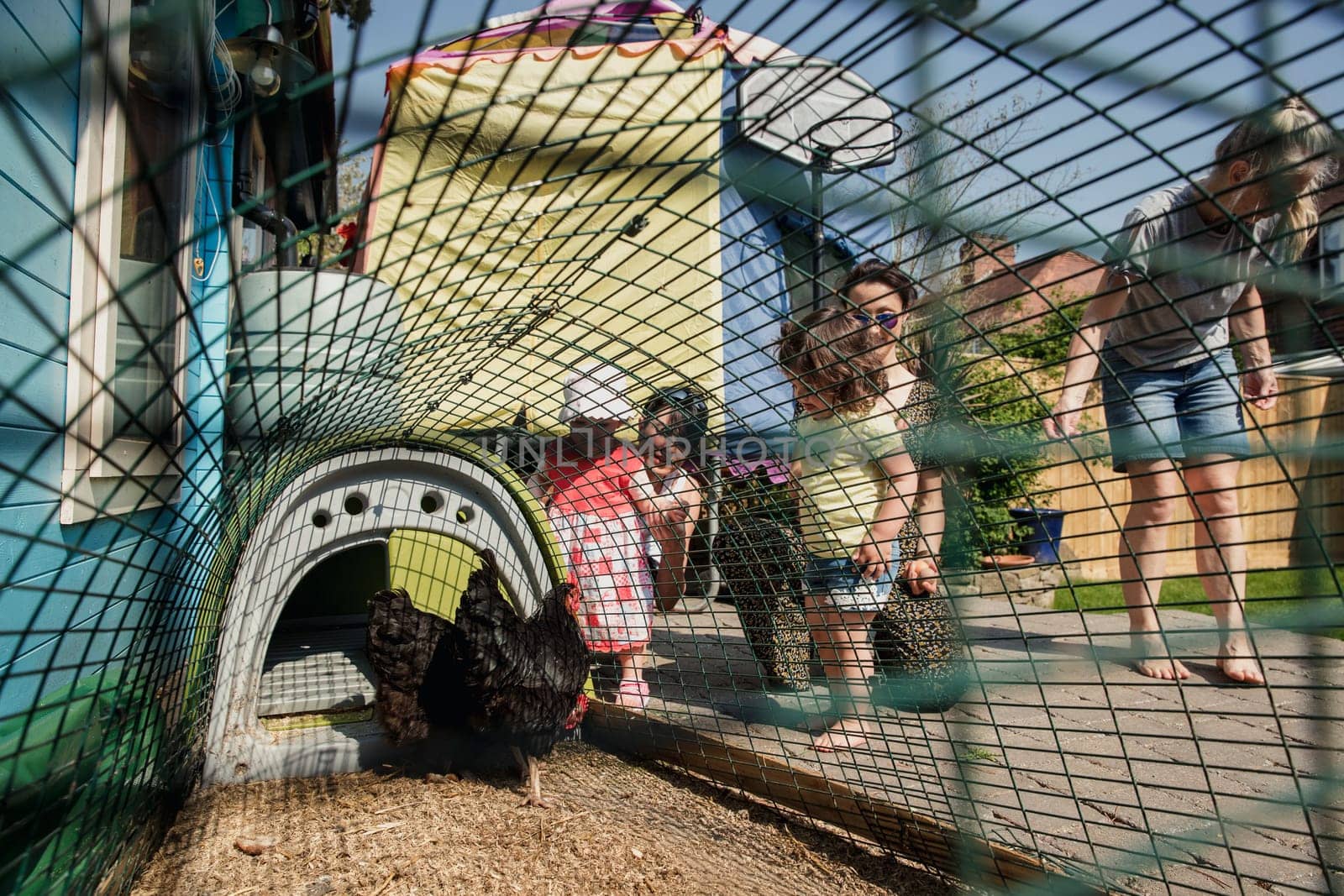 Two mid adult women hold their daughters hands as they stand looking into the chicken coop in the back of their garden. The sun is shining bright into the back garden.