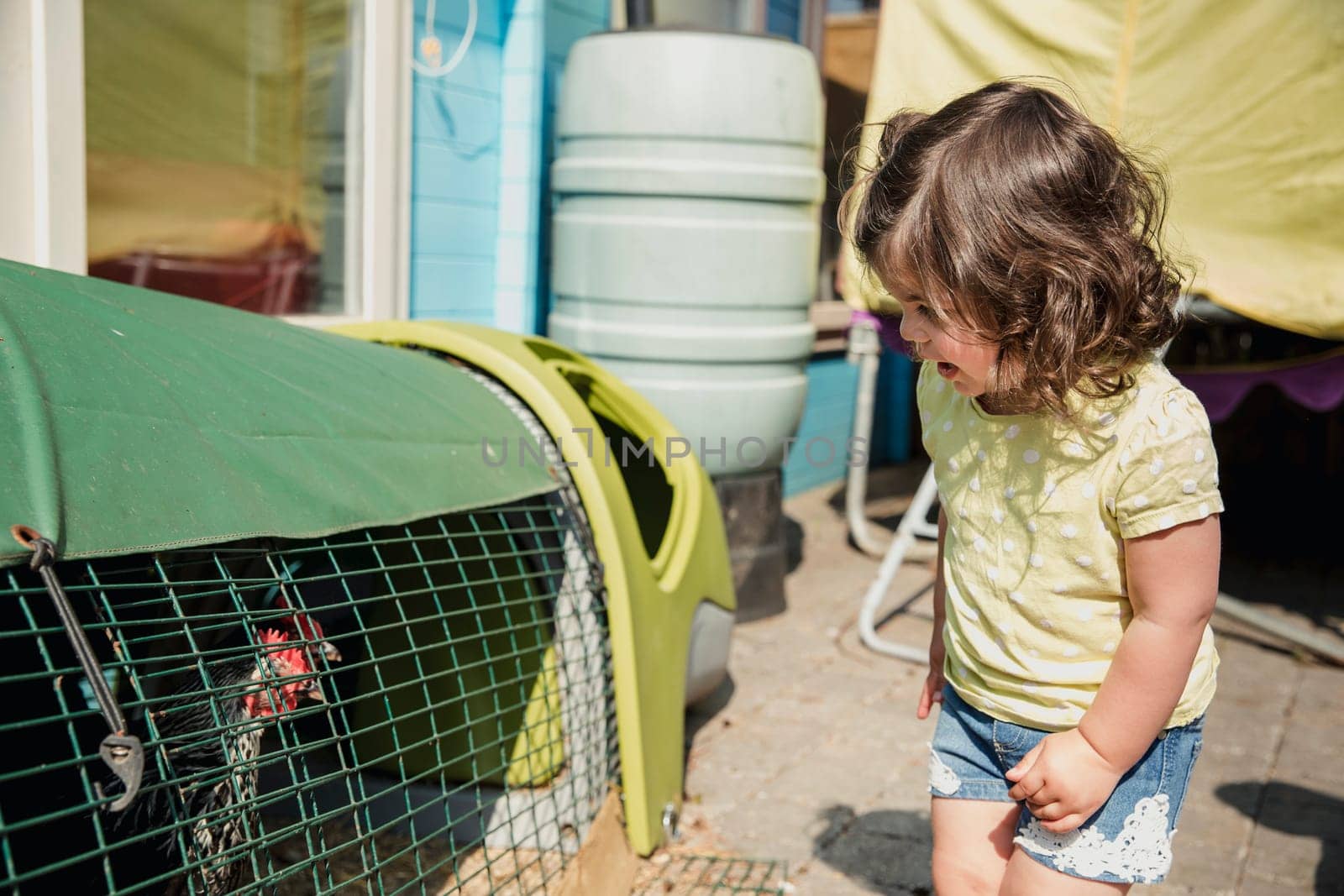 Little girl standing in the back garden and looking into the chicken coop with curisoty. She looks to see what is in and smiles at the chicken.