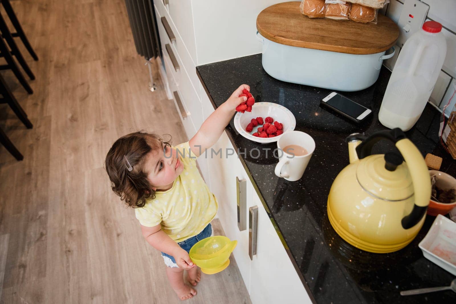 High angle view of a little girl standning in a kicthen and reaching up over the kitchen counter to grab some raspberries.