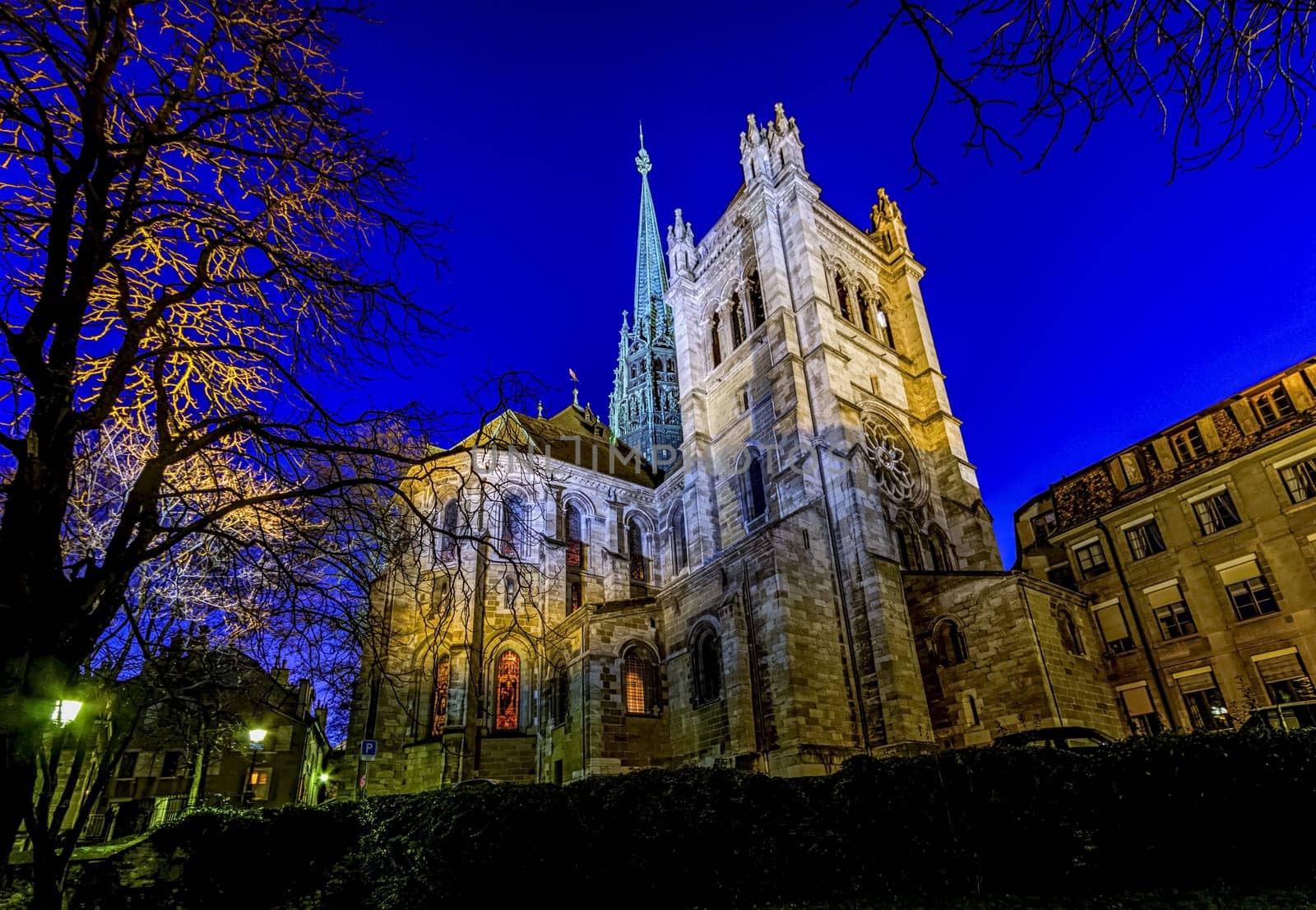 Back of Saint-Pierre cathedral in Geneva by night, Switzerland