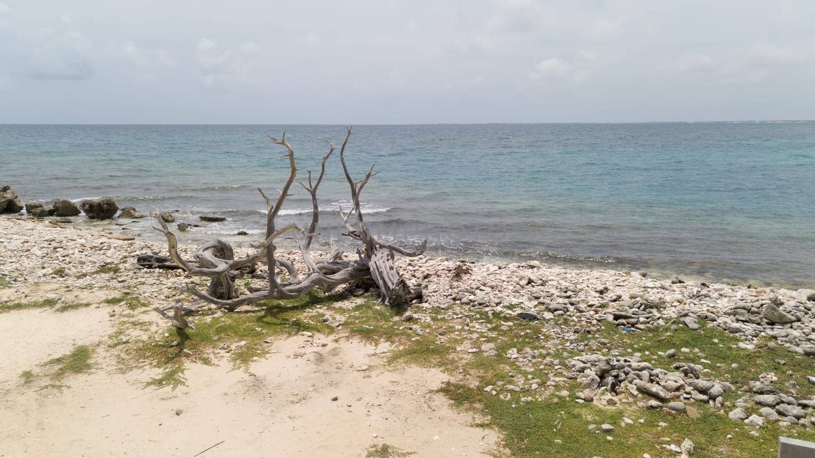 sea beach coast Bonaire island Caribbean sea aerial drone top view
