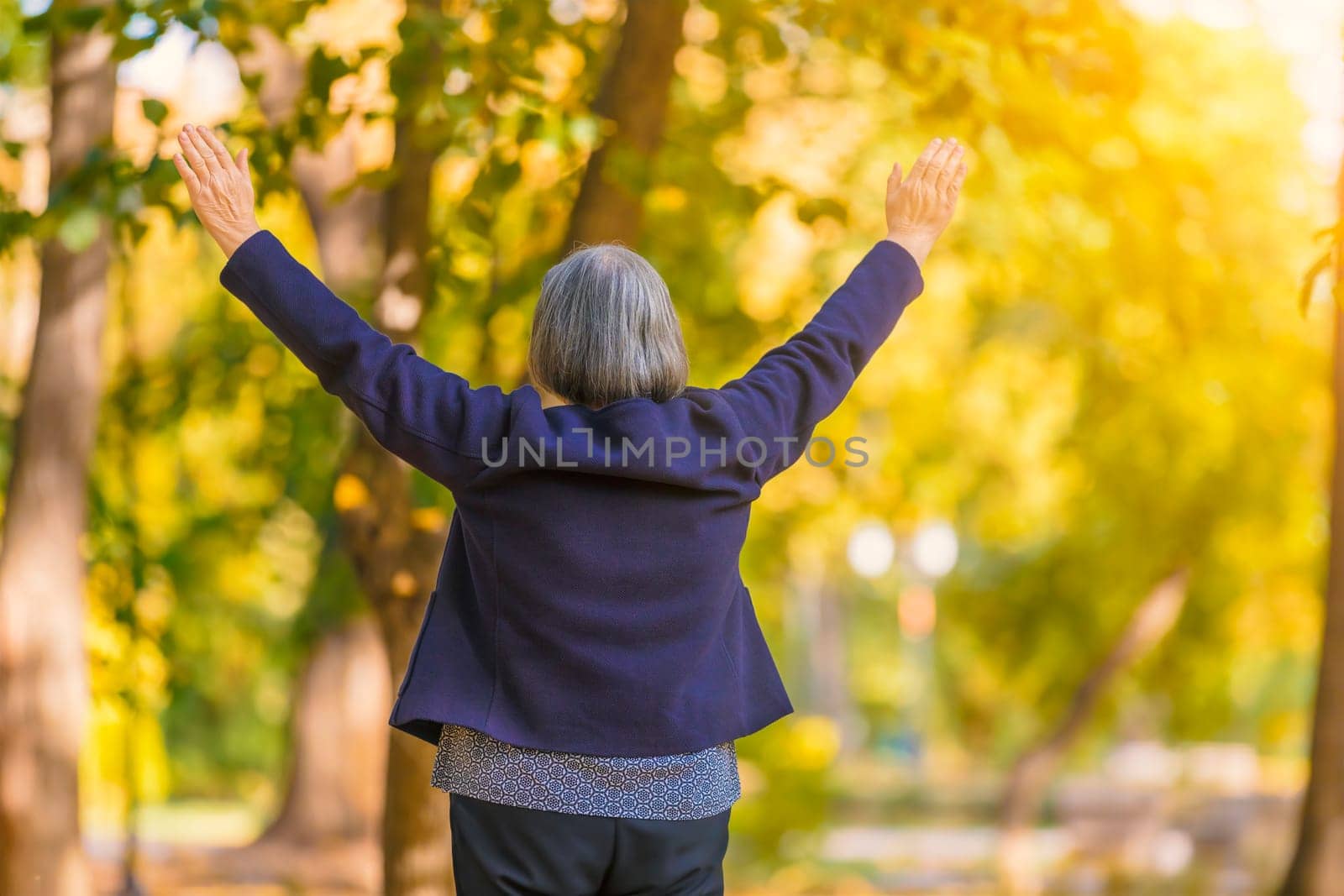 Casual senior woman with arms outstretched standing in autumn park. Back view of senior woman watching at the trees in autumn with hands up.