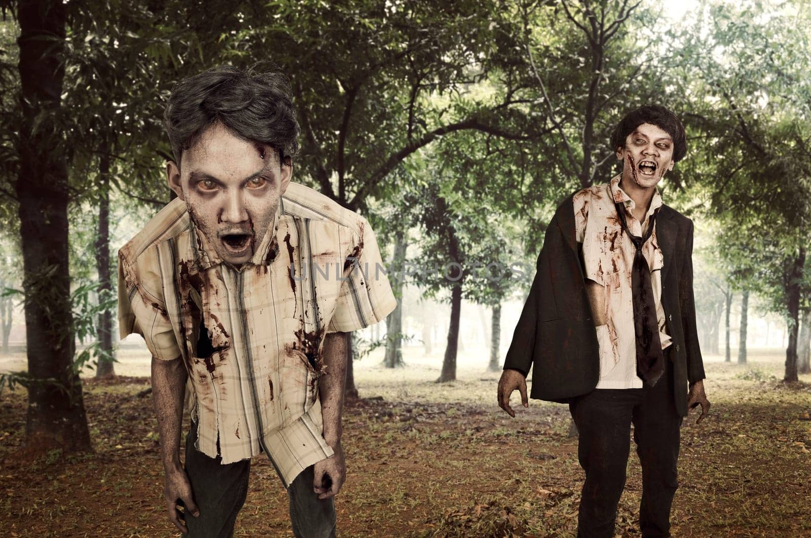 Horrible zombies walk around on the misty forest. Halloween concept