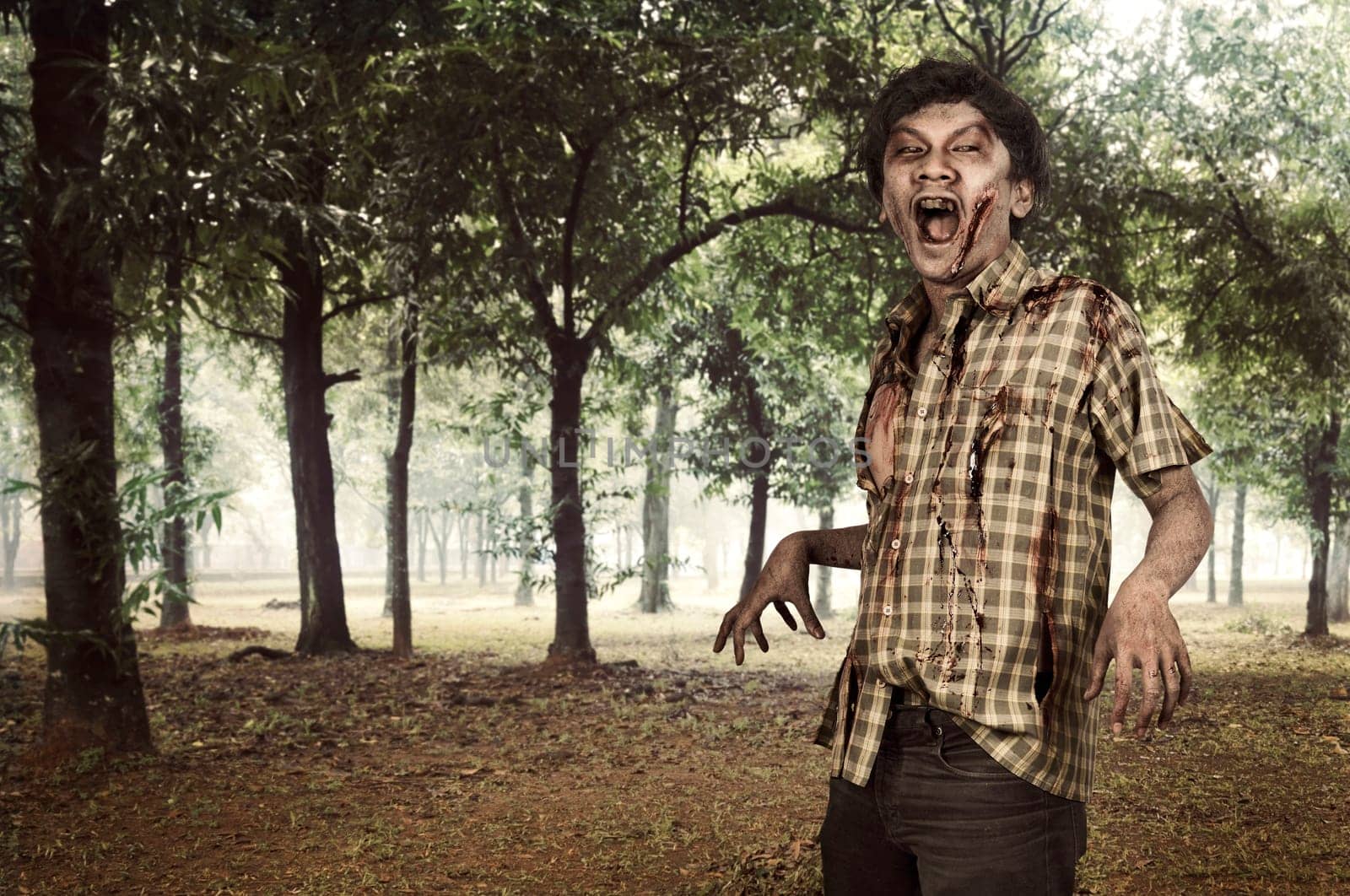 Spooky zombie man hang around on the misty forest. Halloween concept