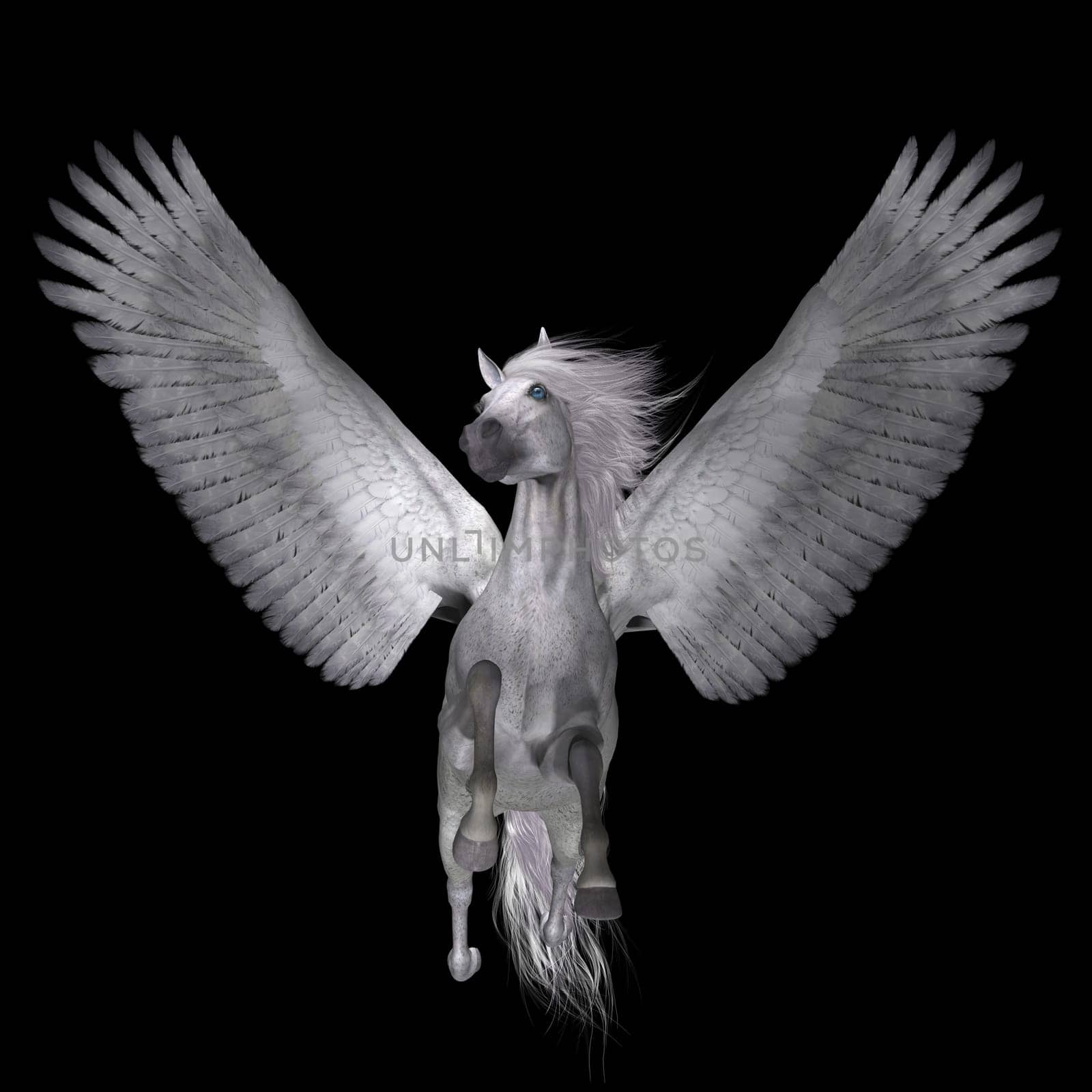 Pegasus is a legendary divine winged stallion and is the best known creature of Greek mythology.