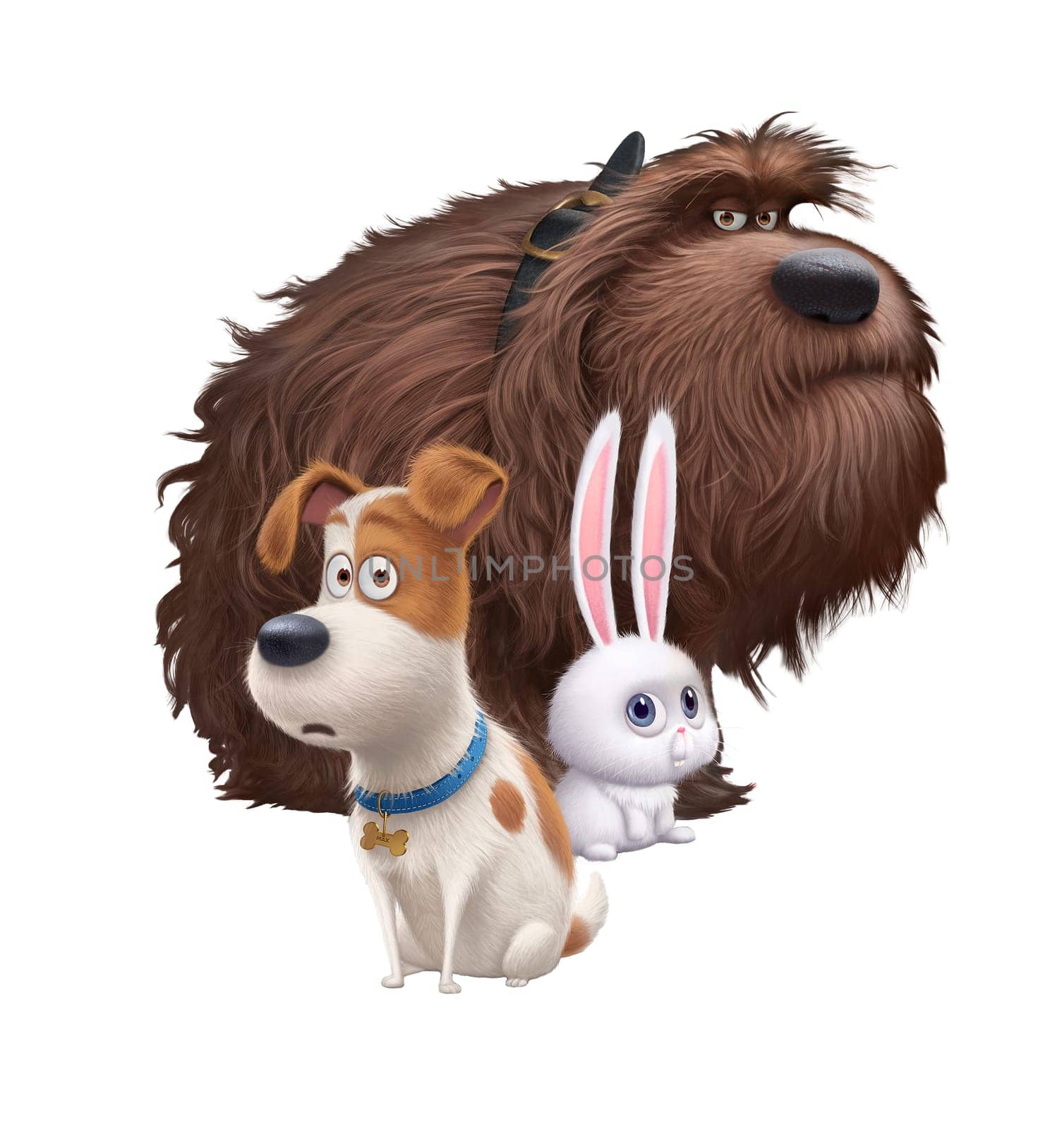 The Secret Life of Pets Max Duke Snowball illustration cartoon