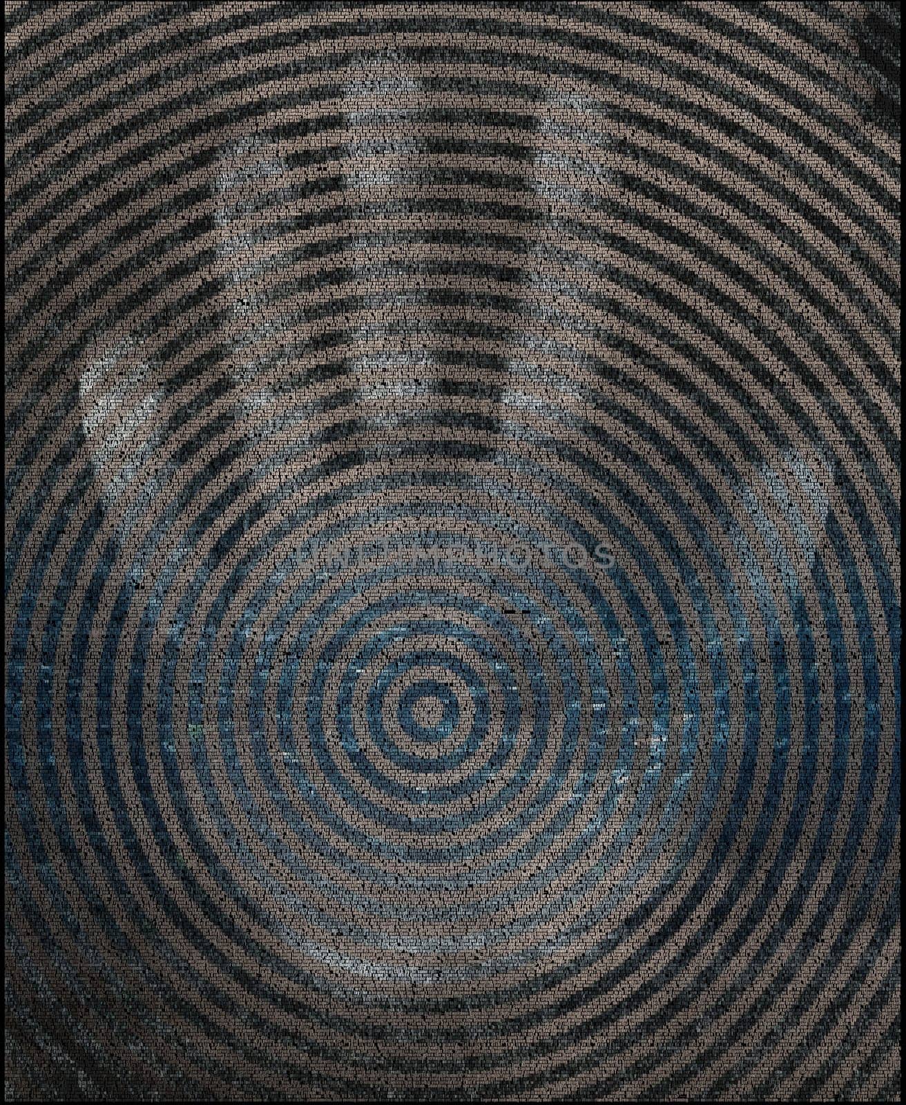 Palm on concentric circles with text of Through the Looking-Glass - Lewis Carroll