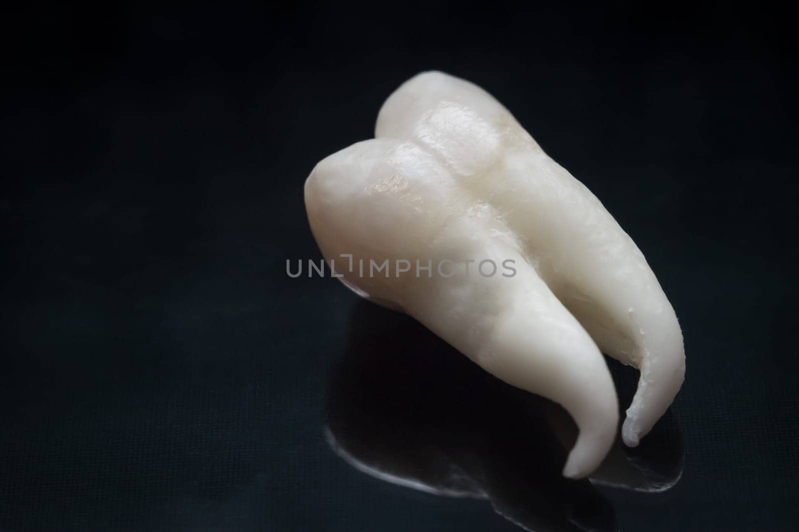 A wisdom tooth on a black background.
